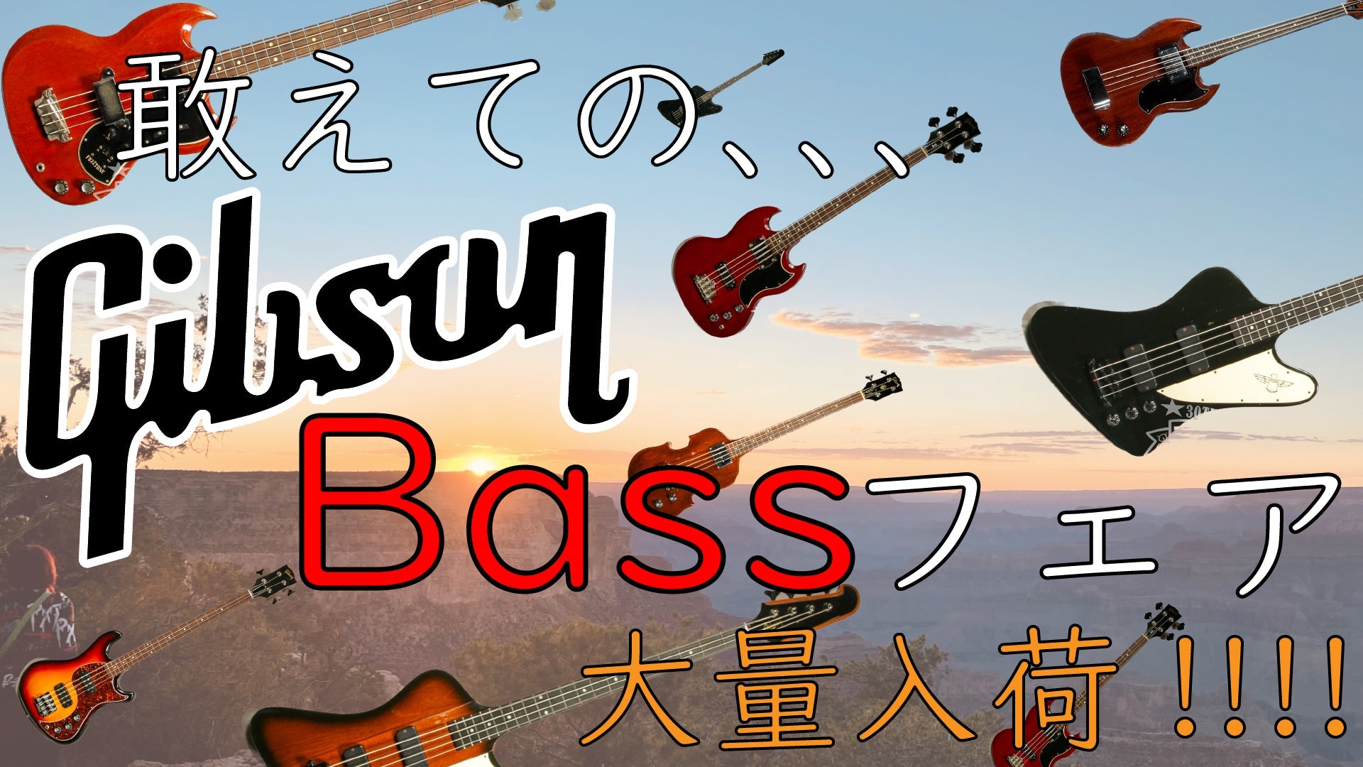 ~~~~敢えてのGibson Bassフェア開催~~~~ - TC楽器 - TCGAKKI
