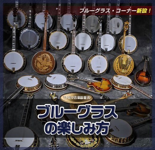 ブルーグラスの楽しみ方 - TC楽器 - TCGAKKI