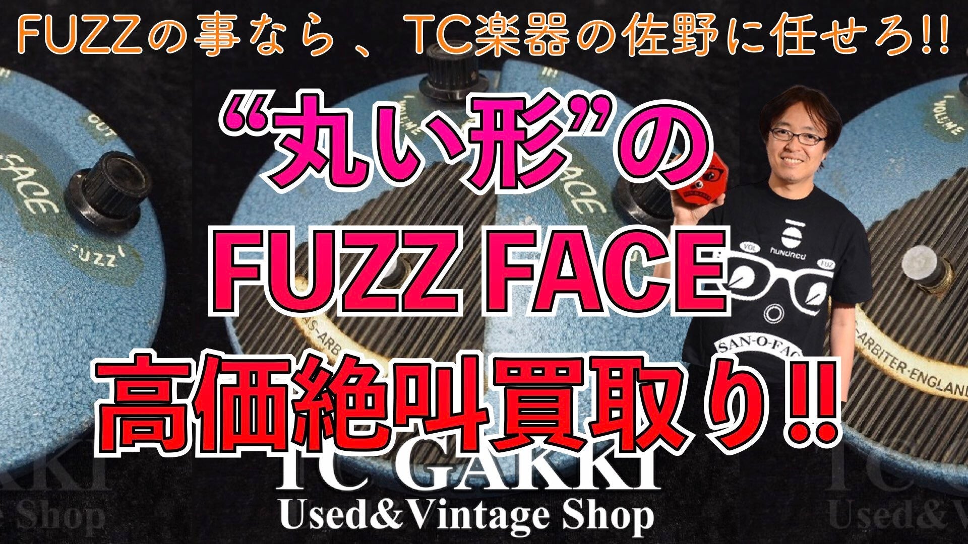 ”丸い形のファズフェイス”高価買取キャンペーン!! - TC楽器 - TCGAKKI