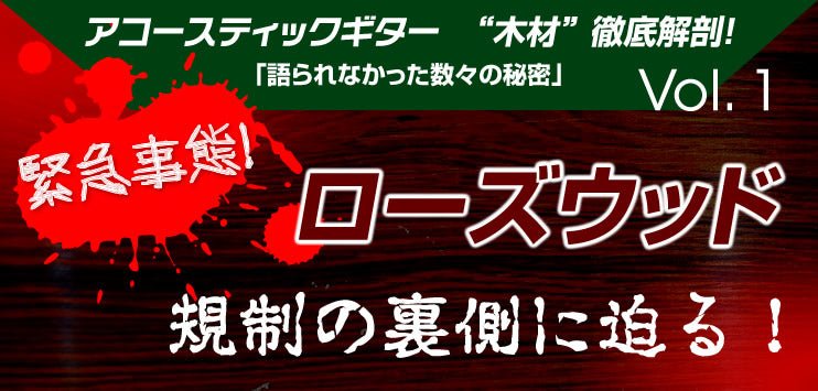 緊急事態! ローズウッド 規制の裏側に迫る - TC楽器 - TCGAKKI