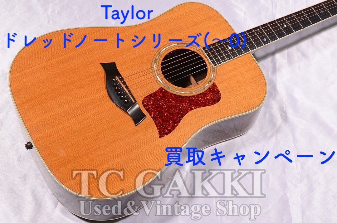 Taylor 買取キャンペーン!! - TC楽器 - TCGAKKI
