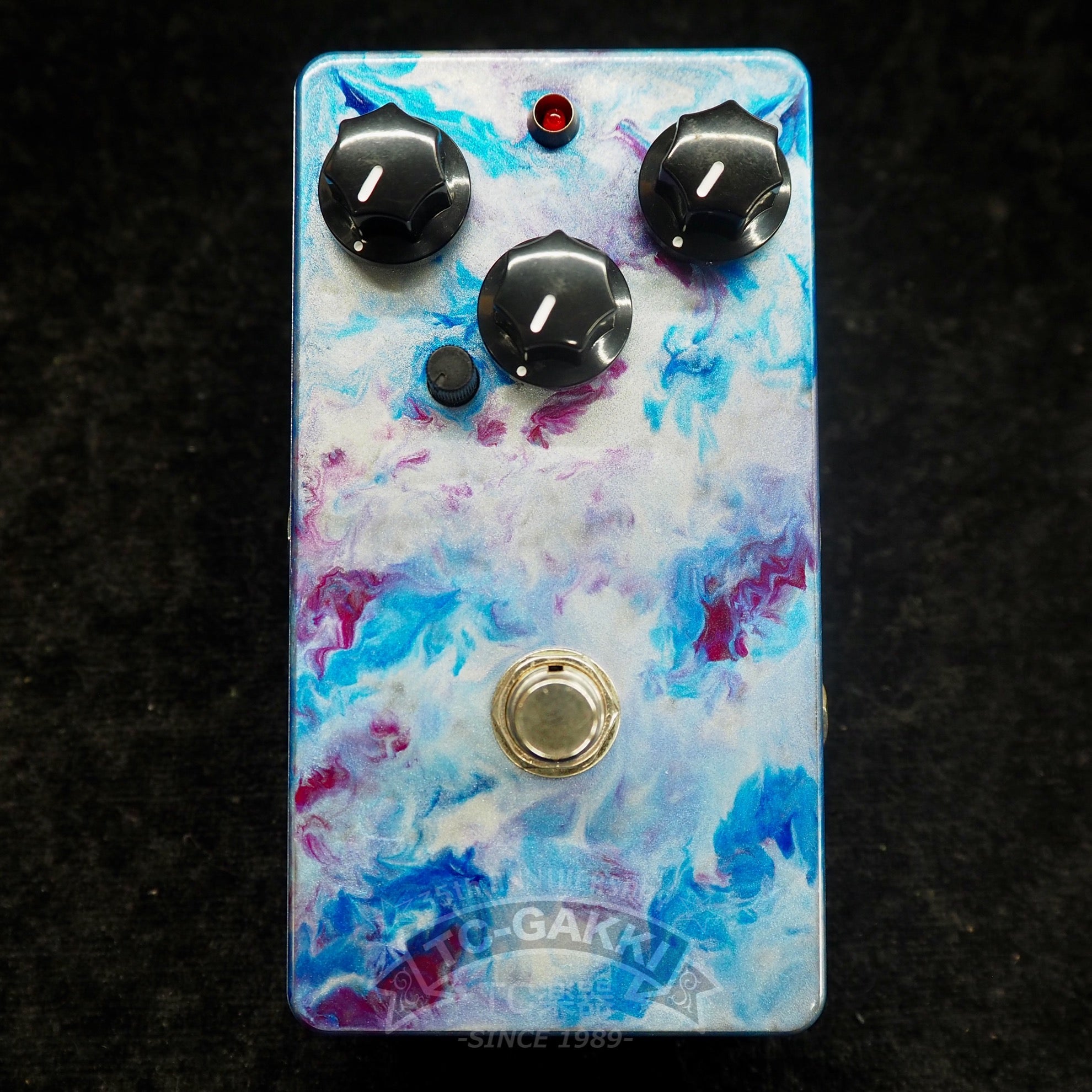 11/11 EVR - TC楽器 - TCGAKKI