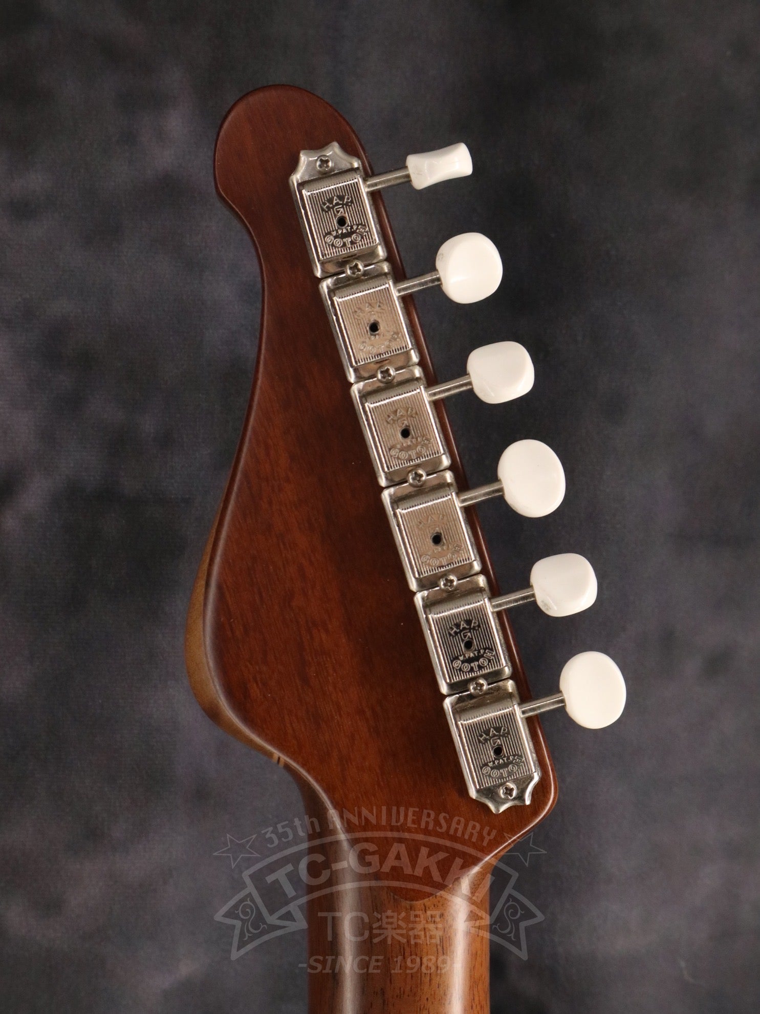 151A - Humanity Type1.5 25Anv+2(2022) - TC楽器 - TCGAKKI