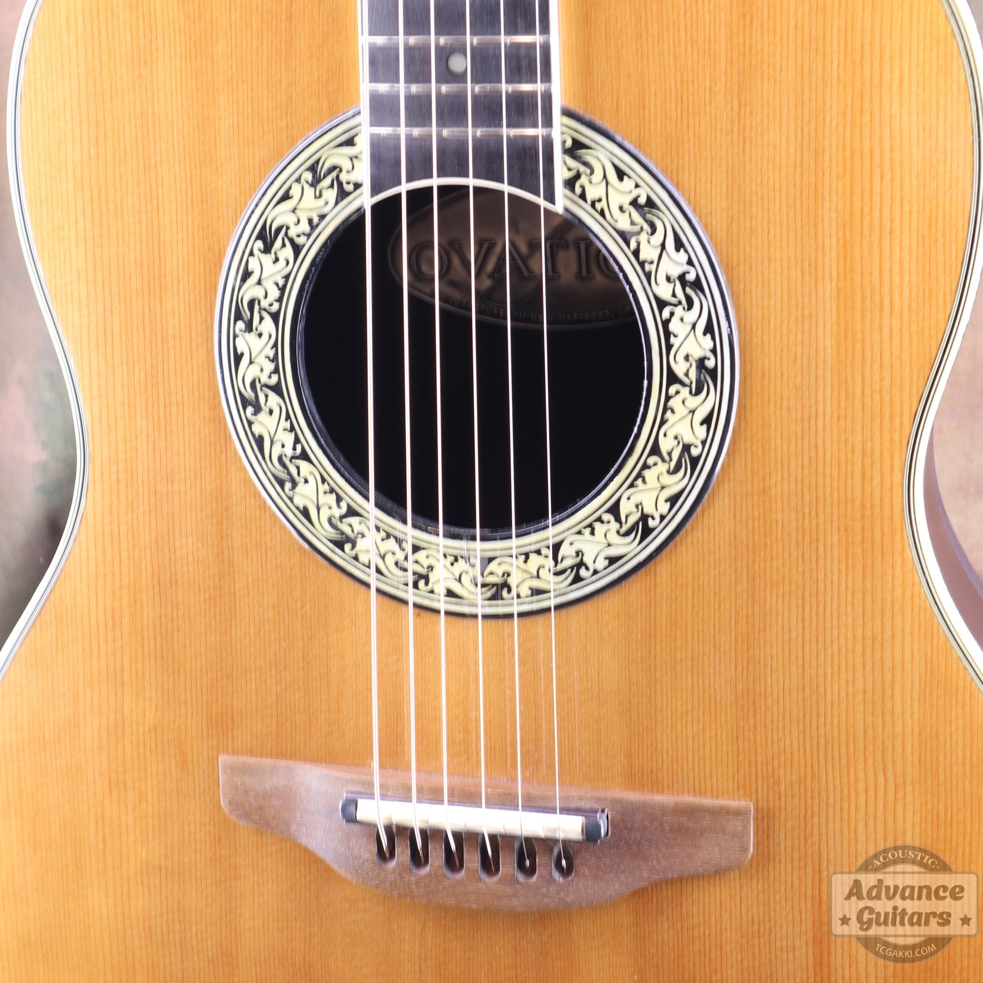 1627 - 4 GLEN CAMPBELL - TC楽器 - TCGAKKI