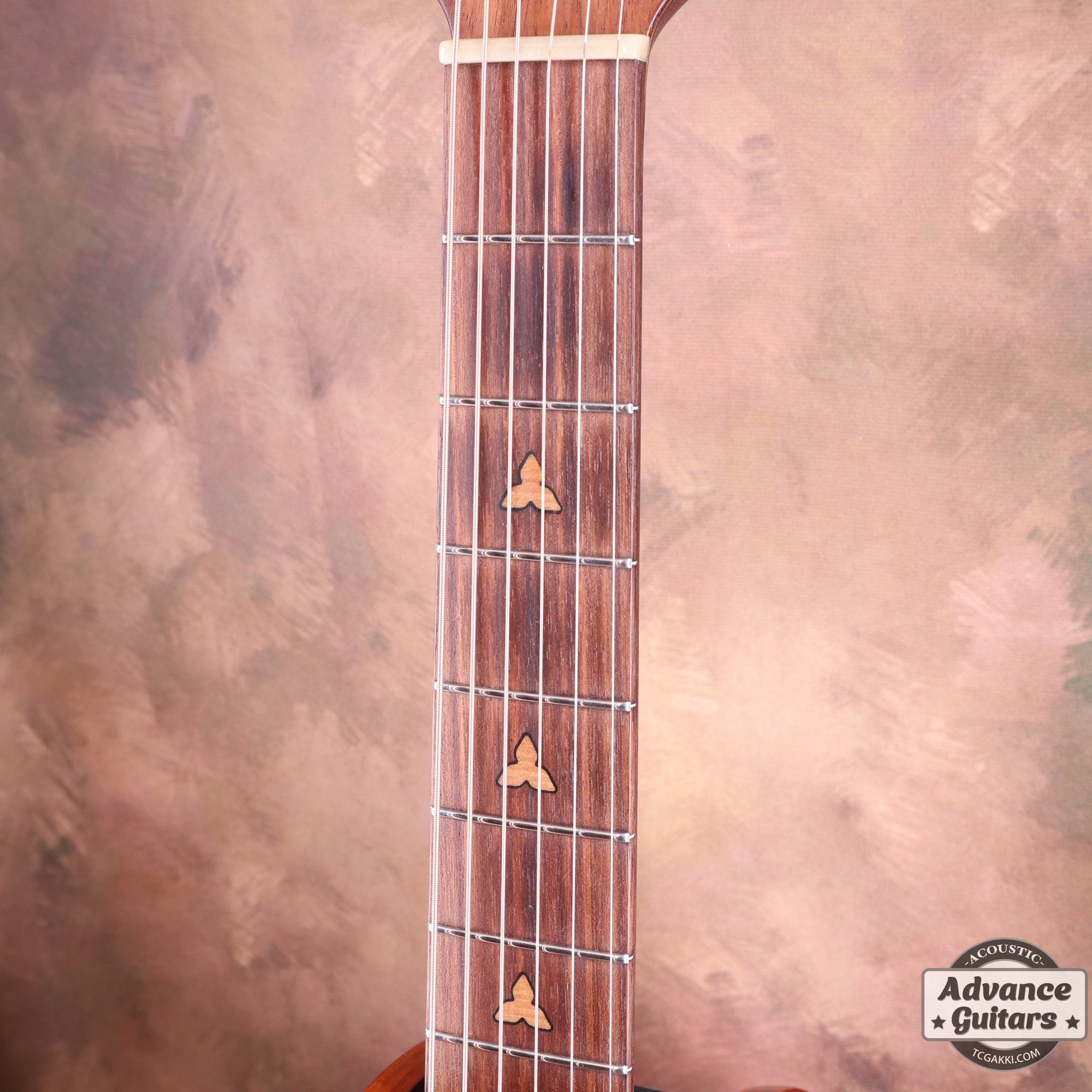 1681 - 5 Adamas II - TC楽器 - TCGAKKI