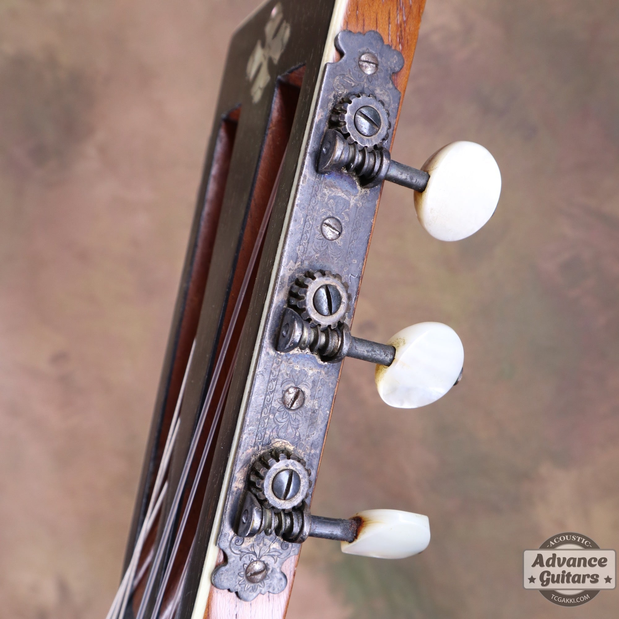 1896年製 Model 188 “1896 STYLE NEW MODEL” - TC楽器 - TCGAKKI