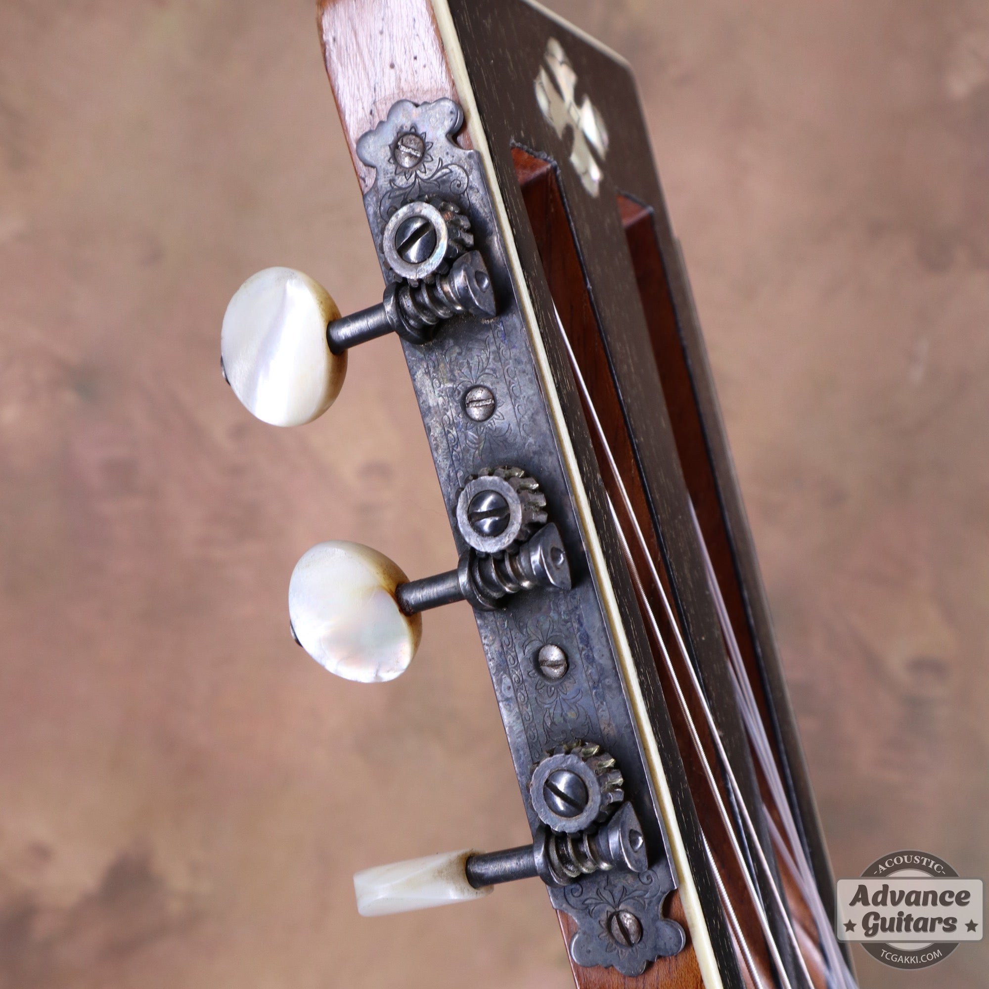 1896年製 Model 188 “1896 STYLE NEW MODEL” - TC楽器 - TCGAKKI