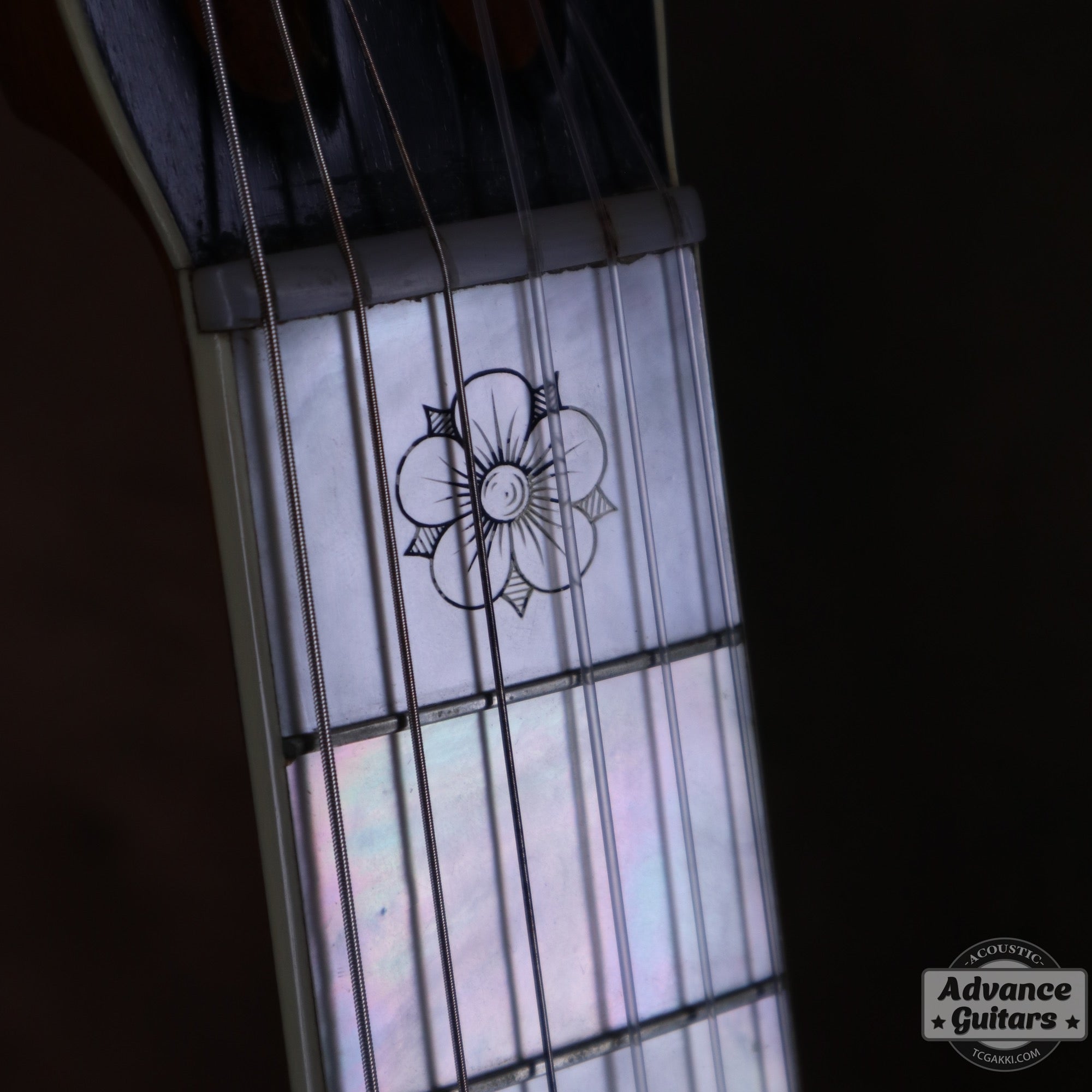 1896年製 Model 188 “1896 STYLE NEW MODEL” - TC楽器 - TCGAKKI