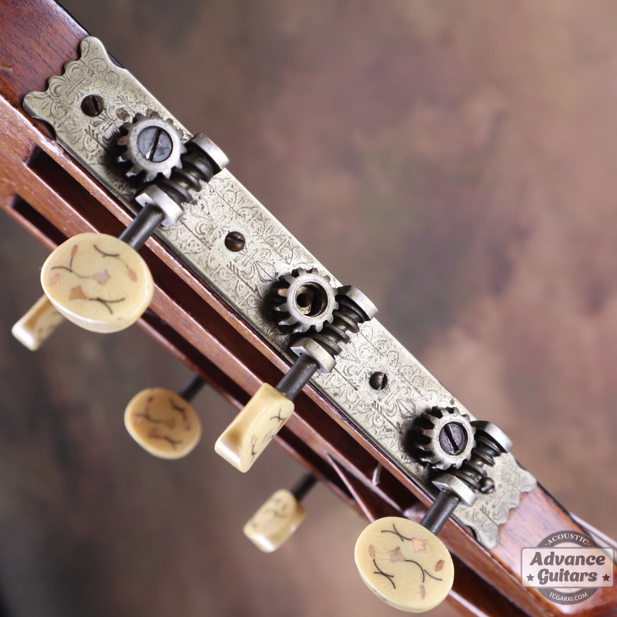 1908年製 00 - 45 – First Owned by "Hazel Henderson" - TC楽器 - TCGAKKI