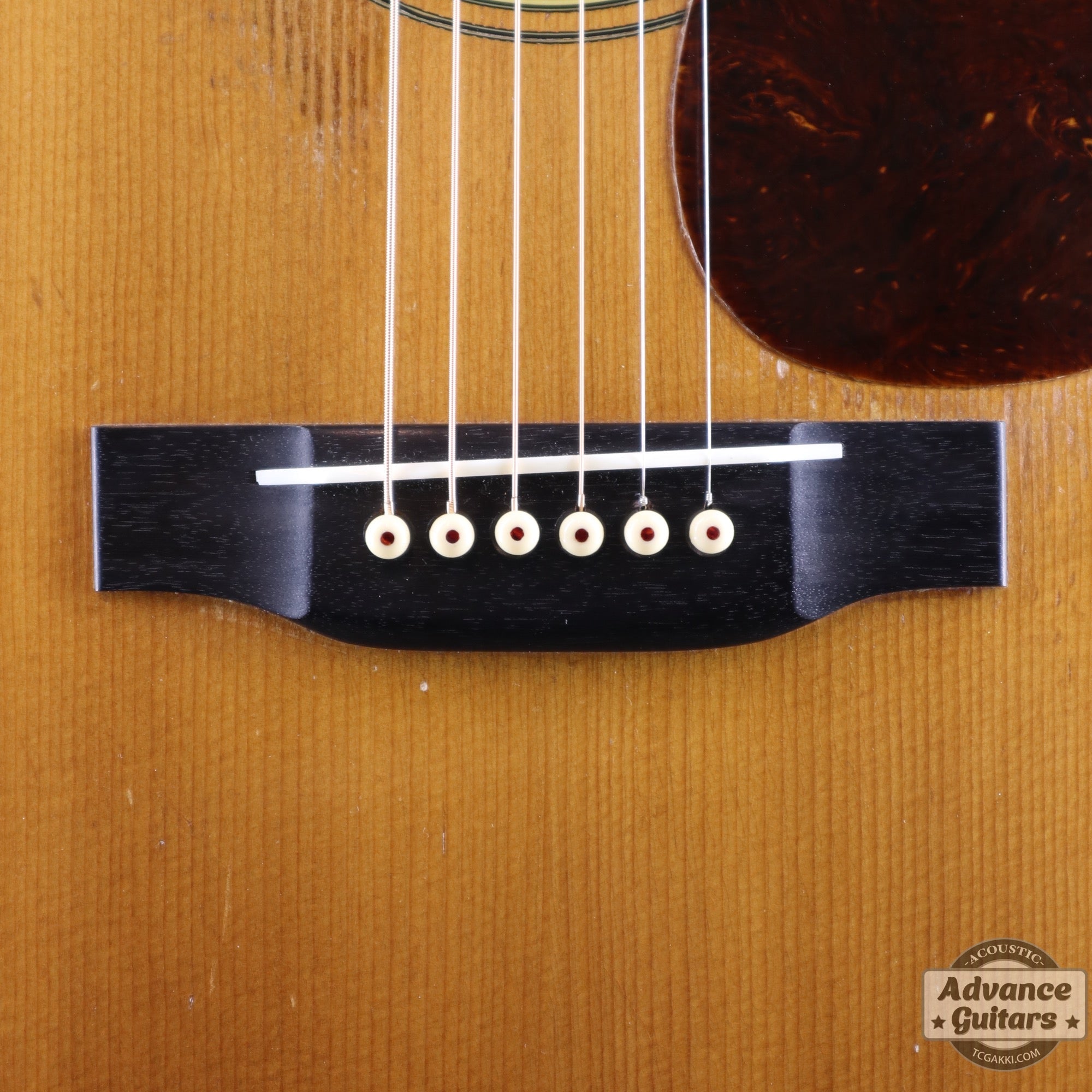 1946年製 D - 28 - TC楽器 - TCGAKKI