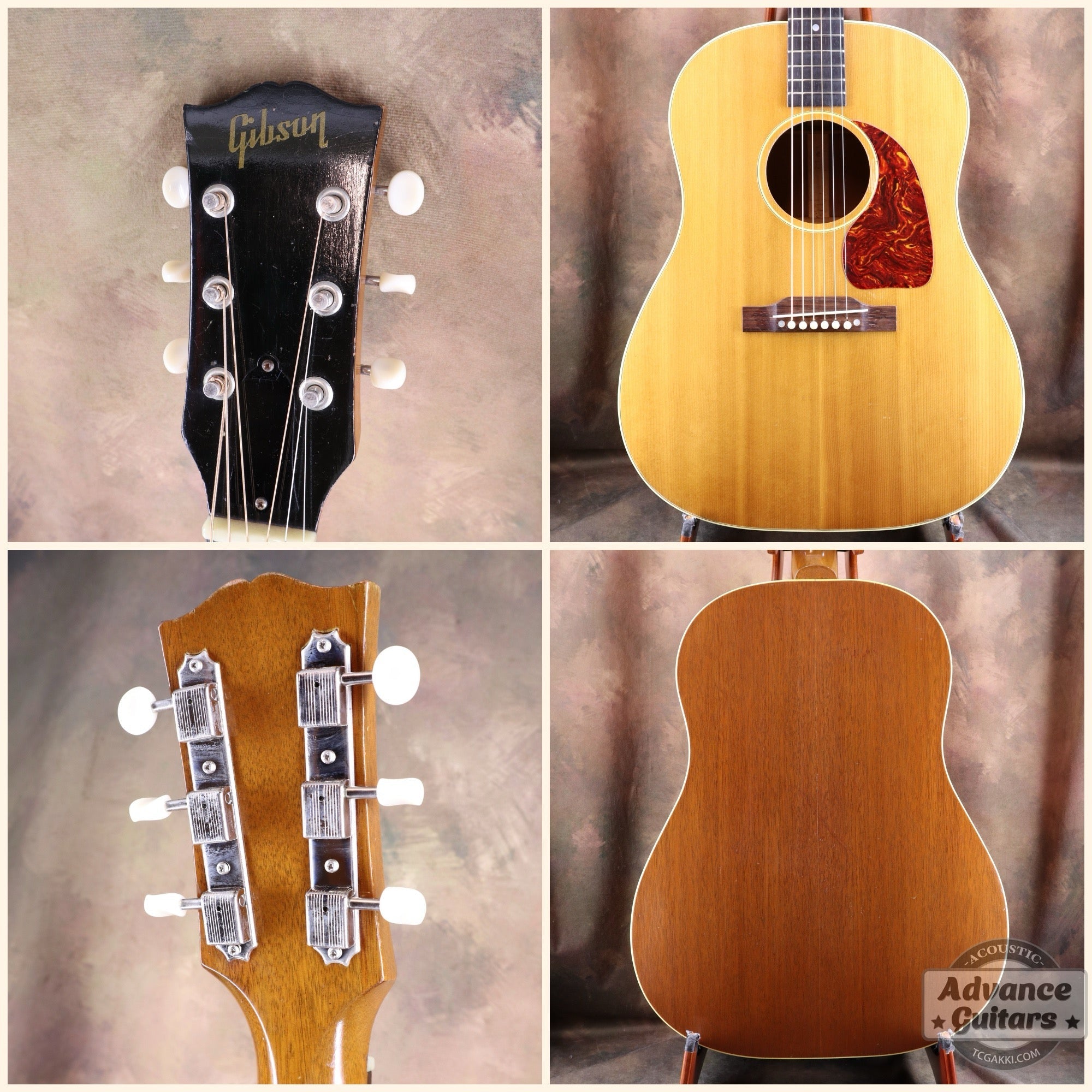 1951年製 J - 50 - TC楽器 - TCGAKKI