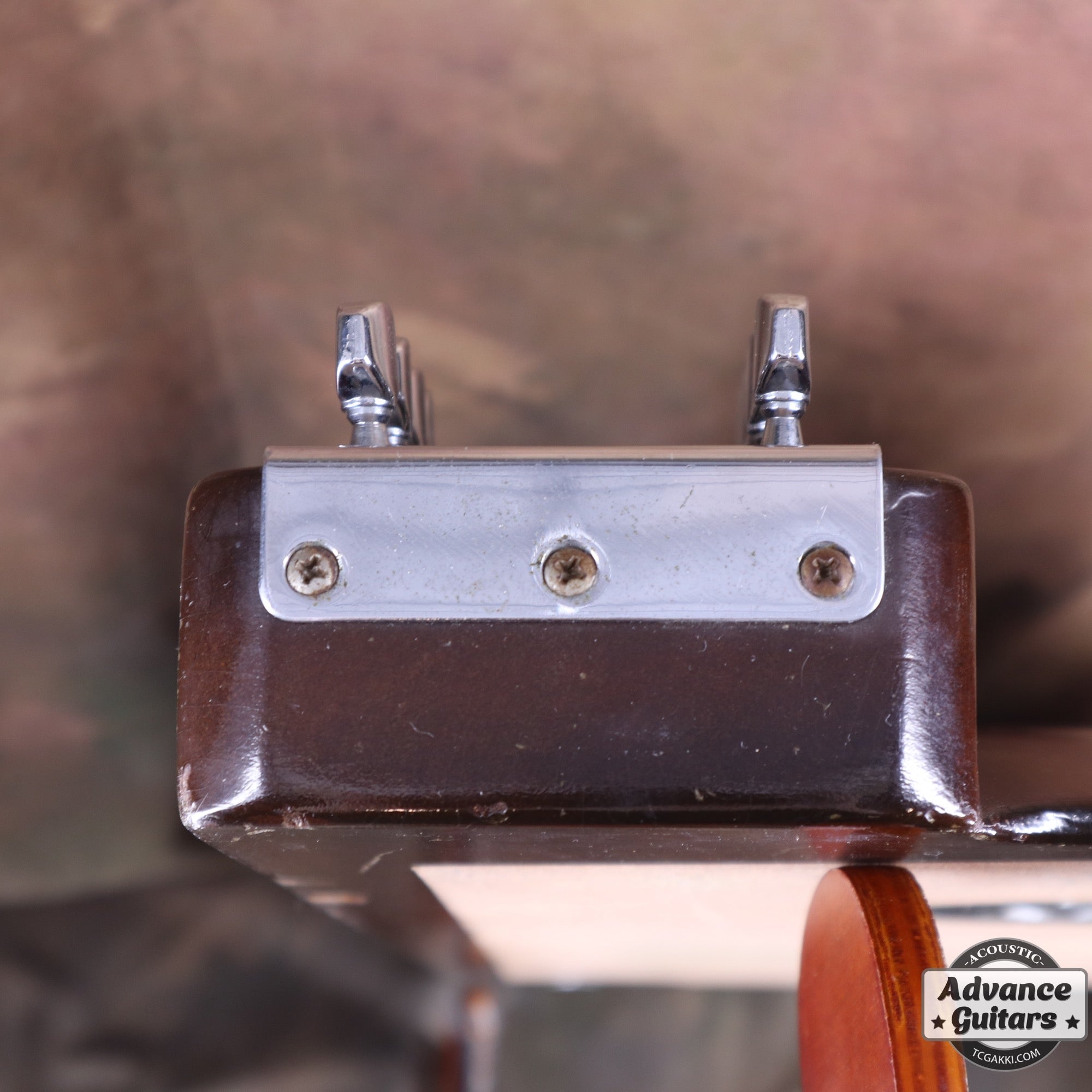 1952年製 Dual Six Professional Double Neck Vintage Console - TC楽器 - TCGAKKI