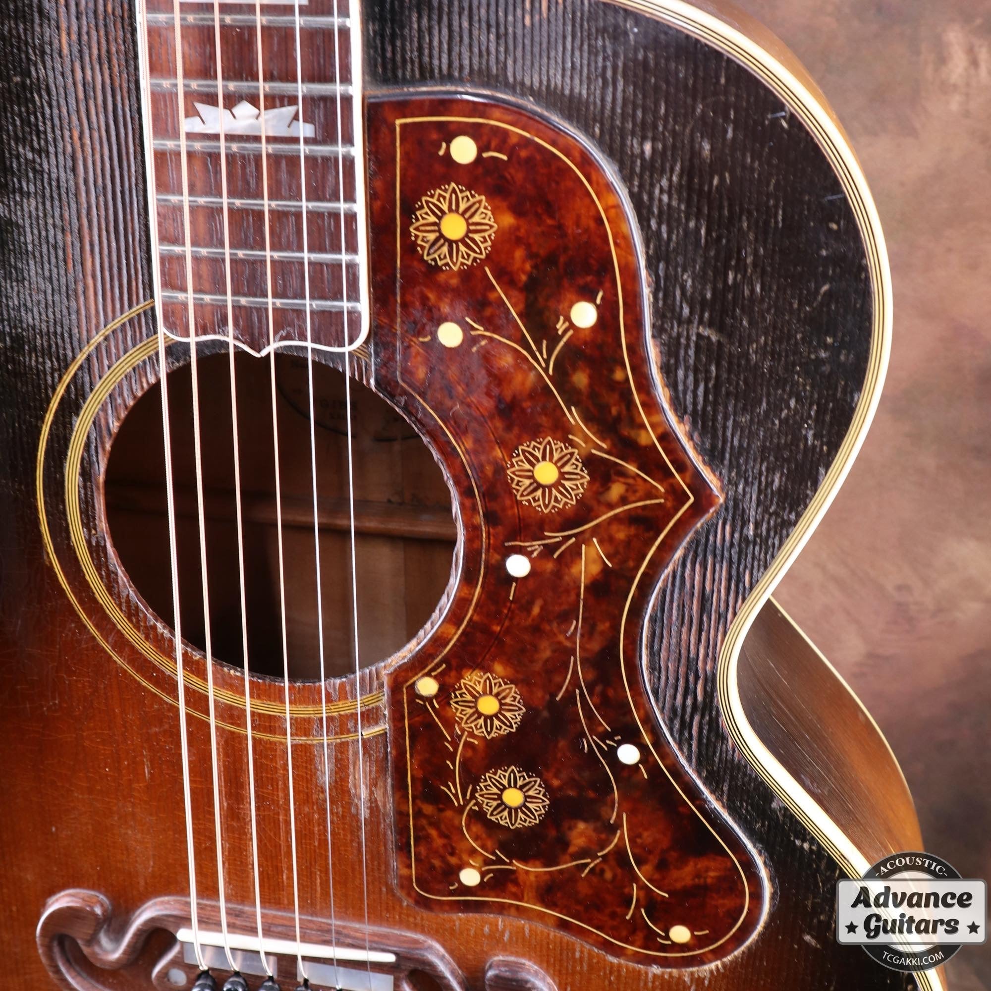 1952年製 J - 200 - TC楽器 - TCGAKKI