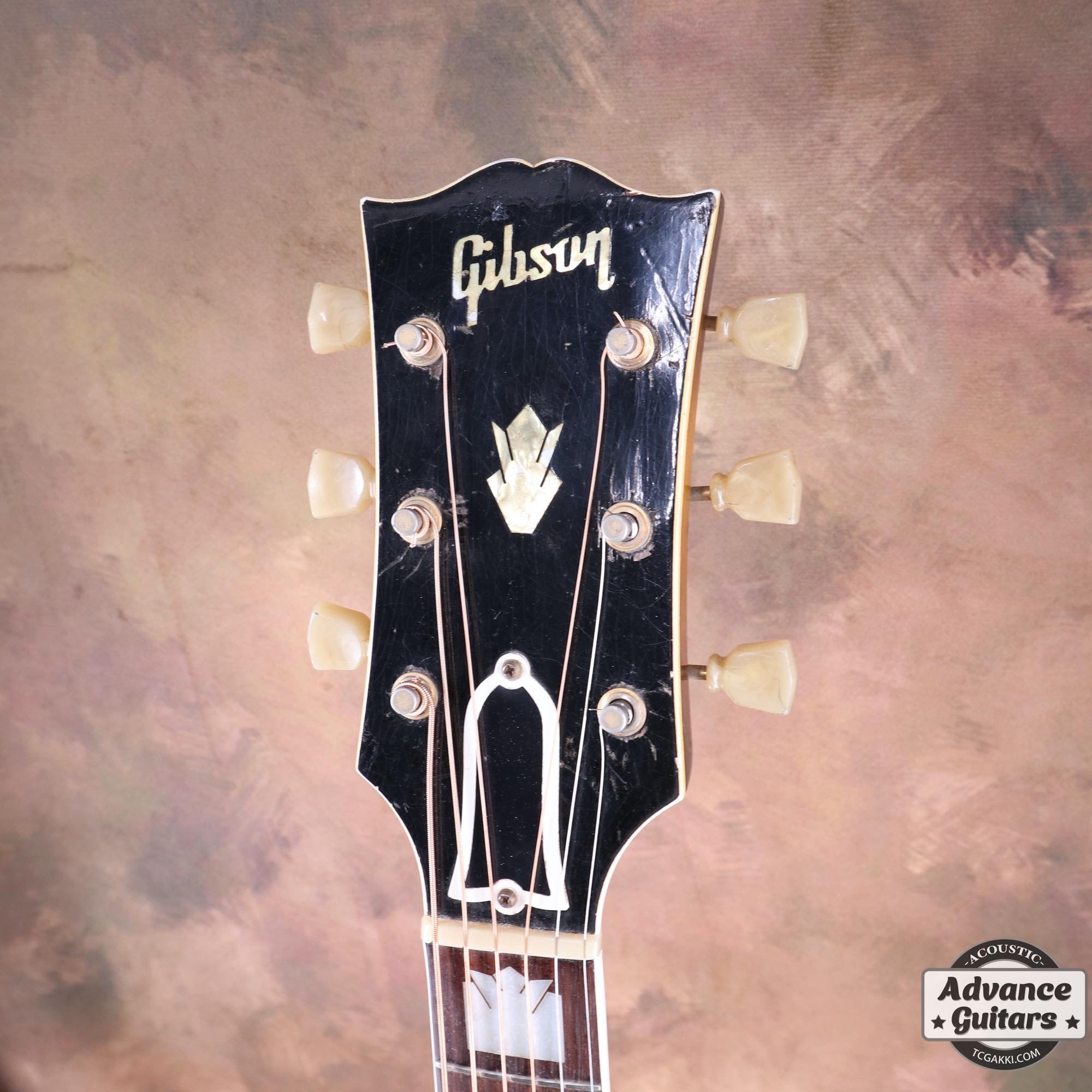 1952年製 J - 200 - TC楽器 - TCGAKKI