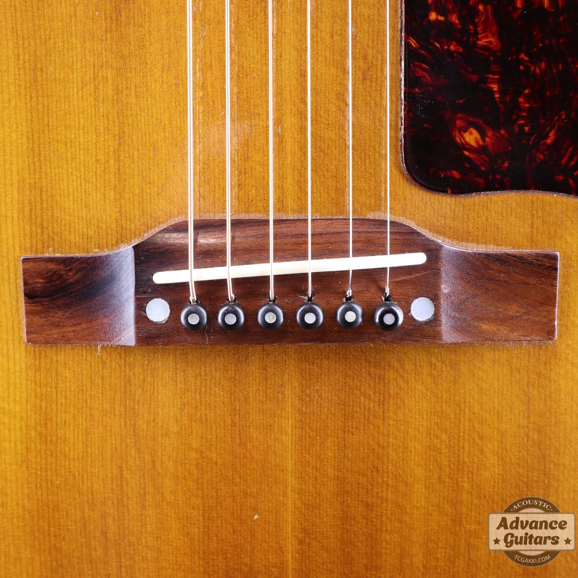 1956年製 J - 45 - TC楽器 - TCGAKKI