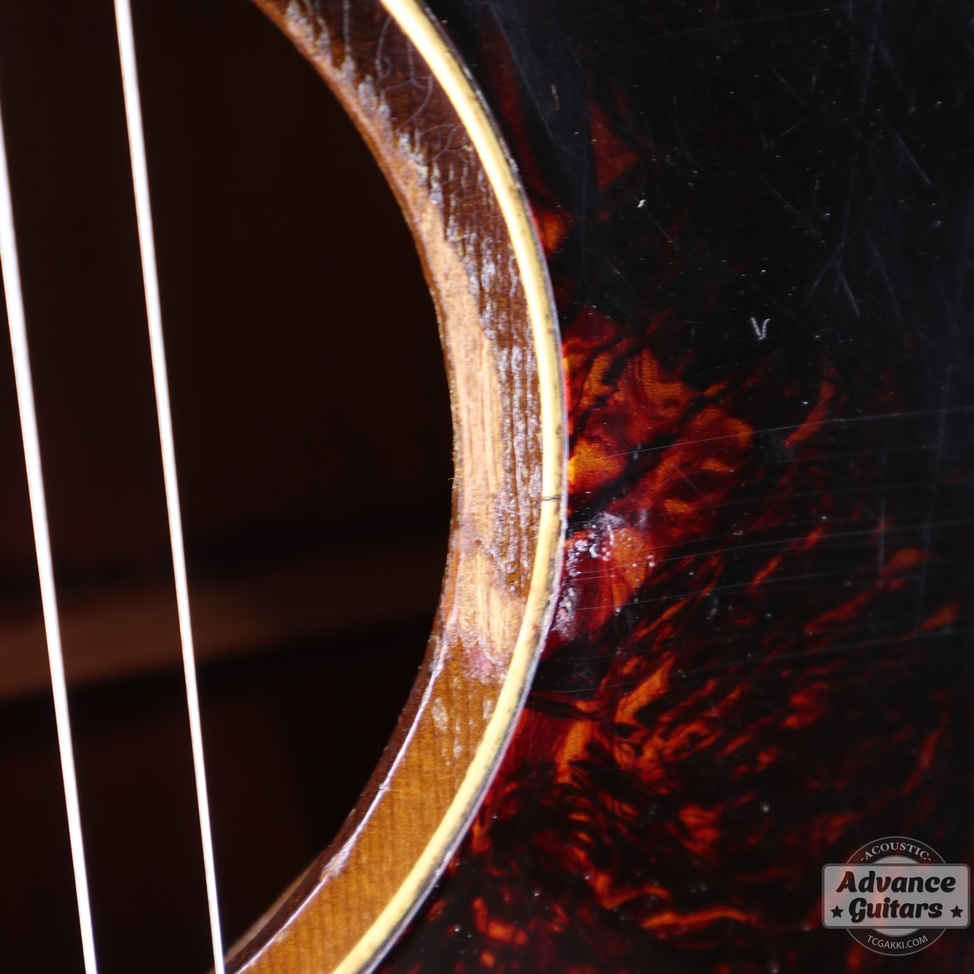 1956年製 J - 45 - TC楽器 - TCGAKKI