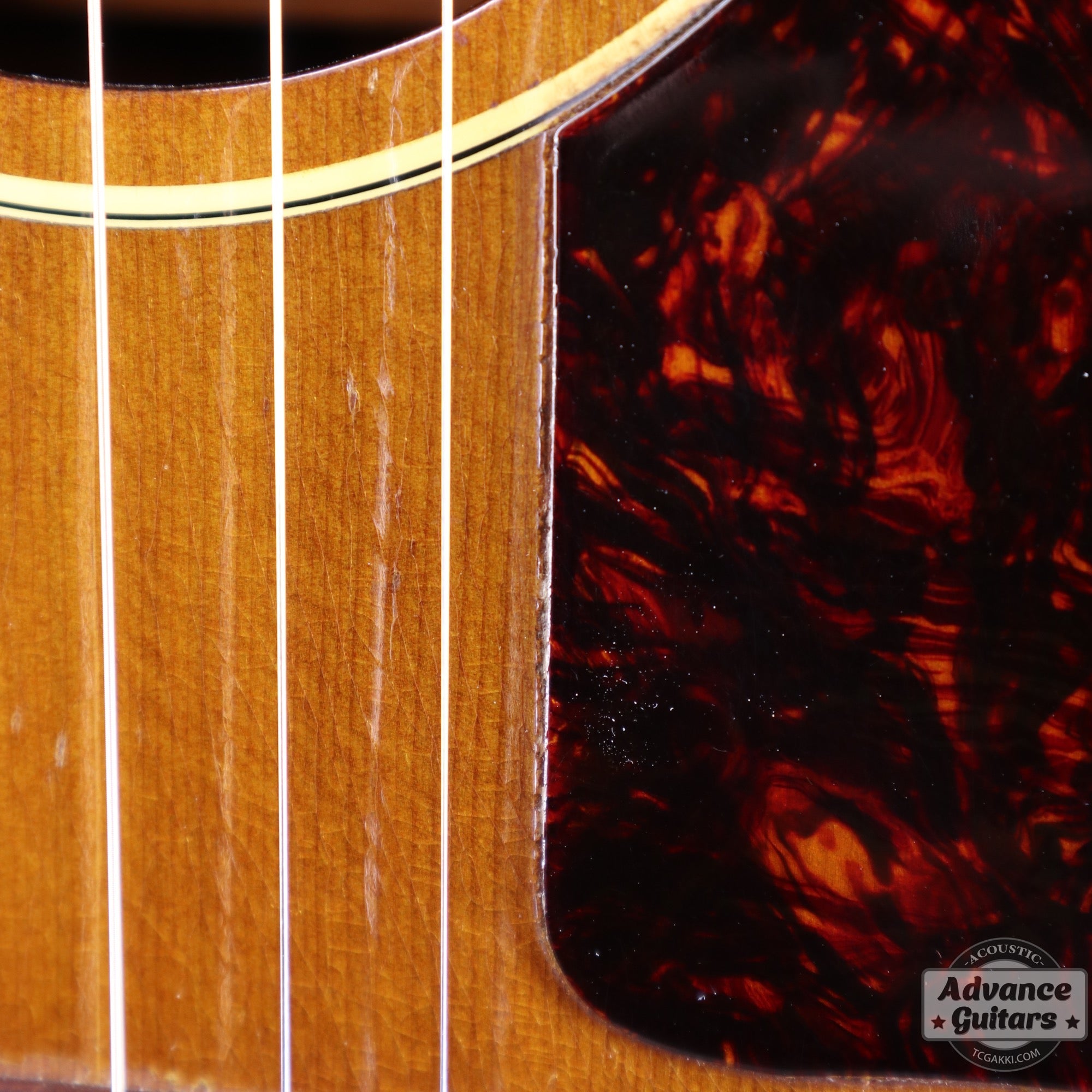 1956年製 J - 45 - TC楽器 - TCGAKKI