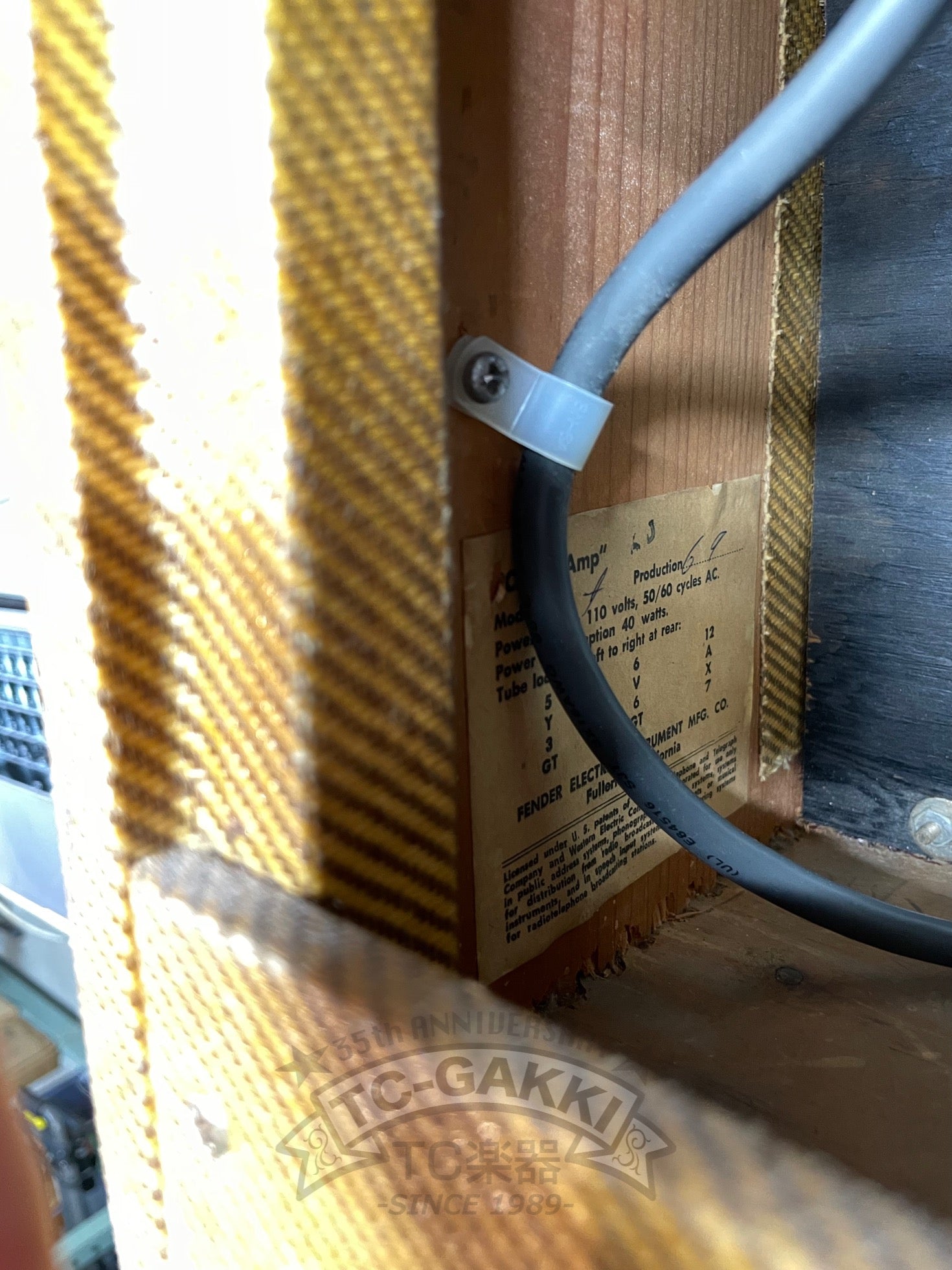 1960s Champ 5F1 - TC楽器 - TCGAKKI