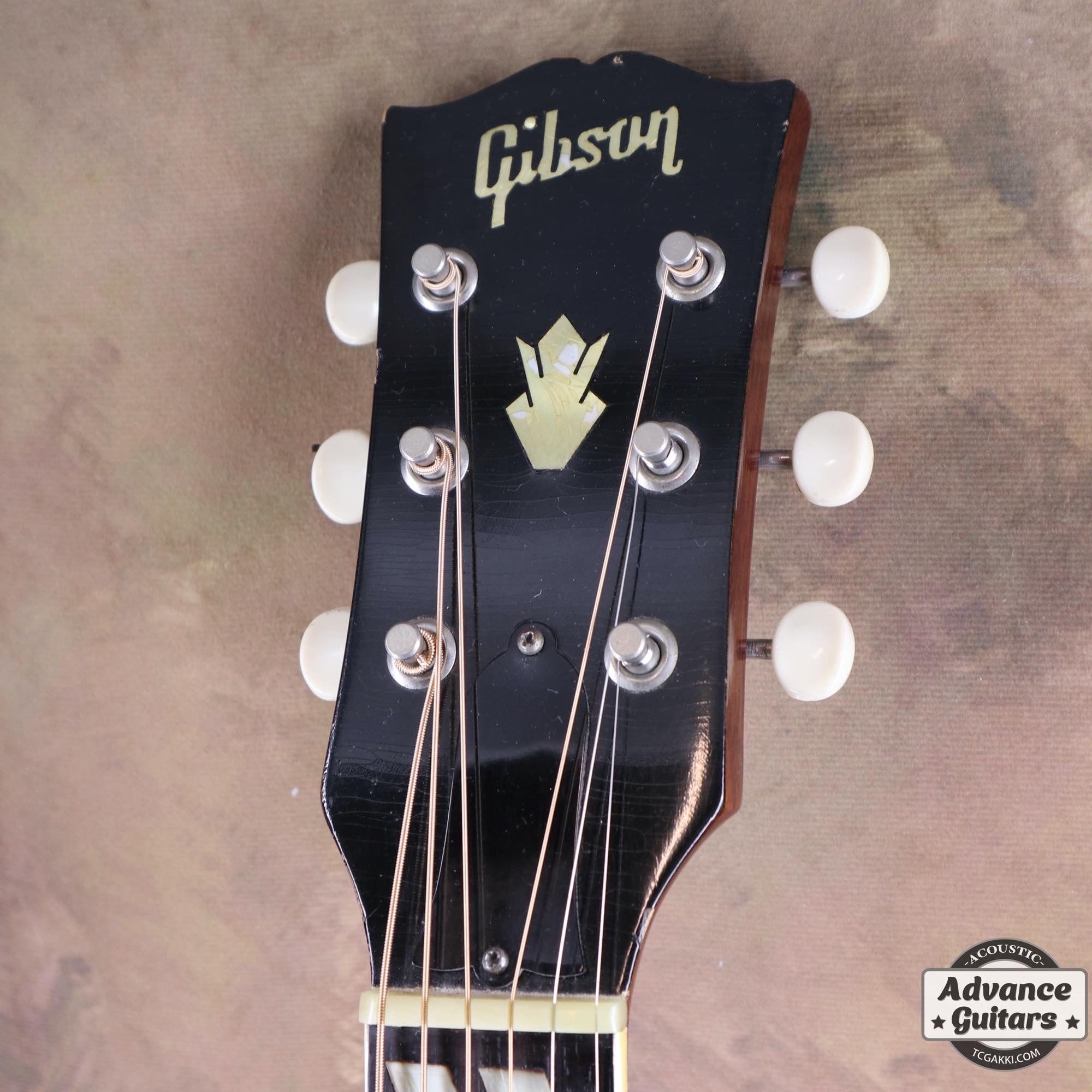 1962年製 Country Western - TC楽器 - TCGAKKI