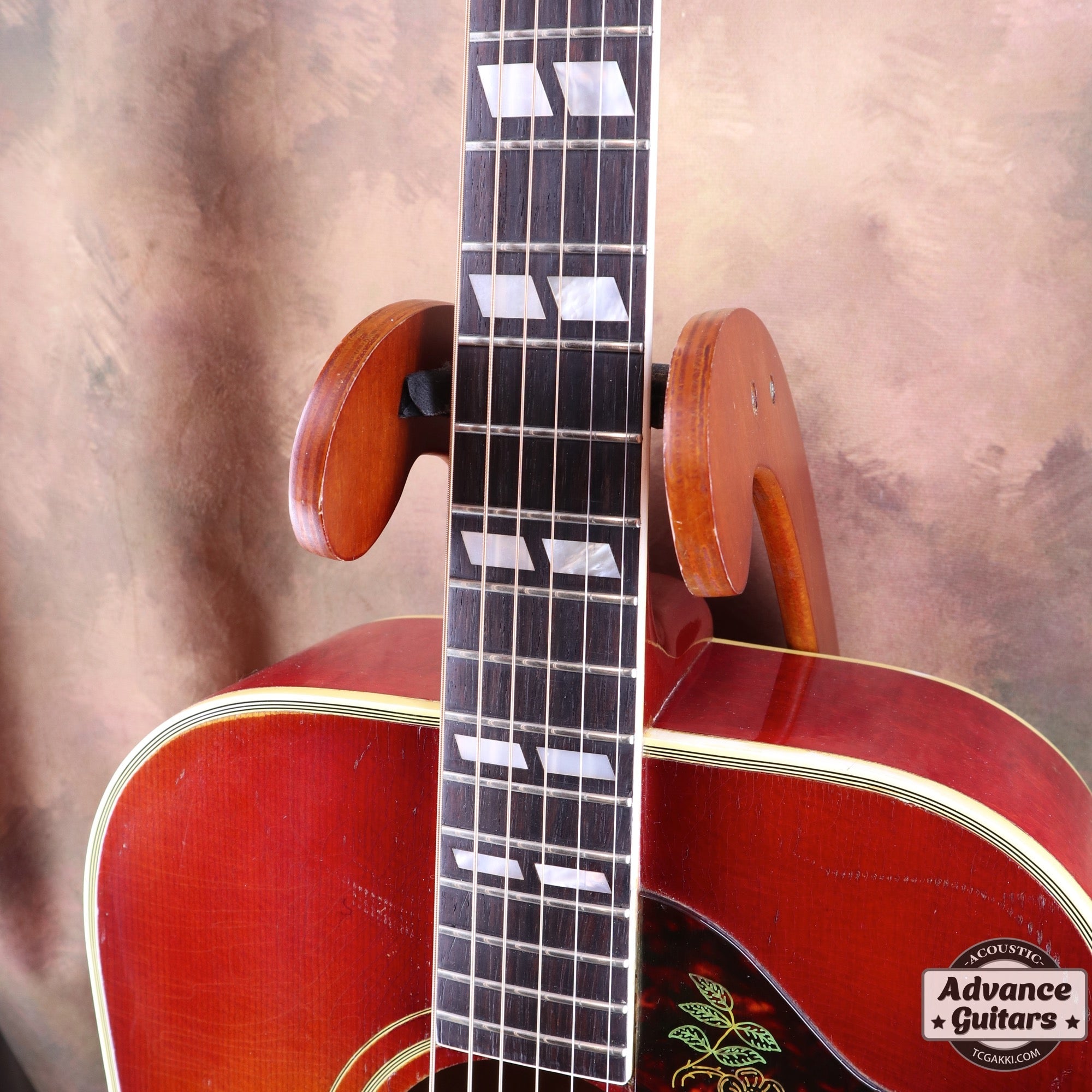 1962年製 Dove - TC楽器 - TCGAKKI