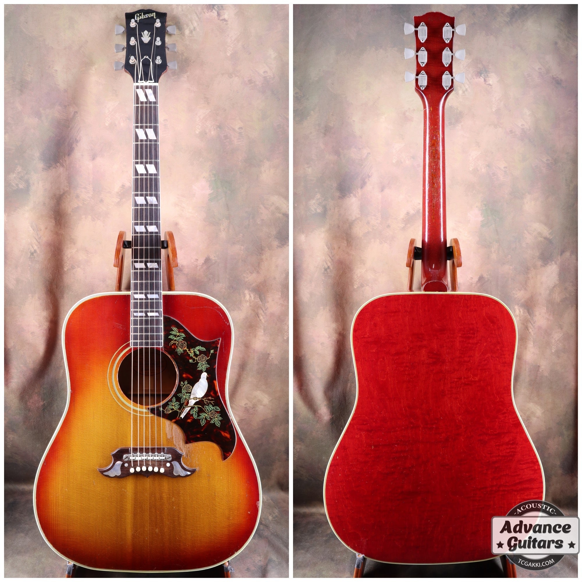 1962年製 Dove - TC楽器 - TCGAKKI