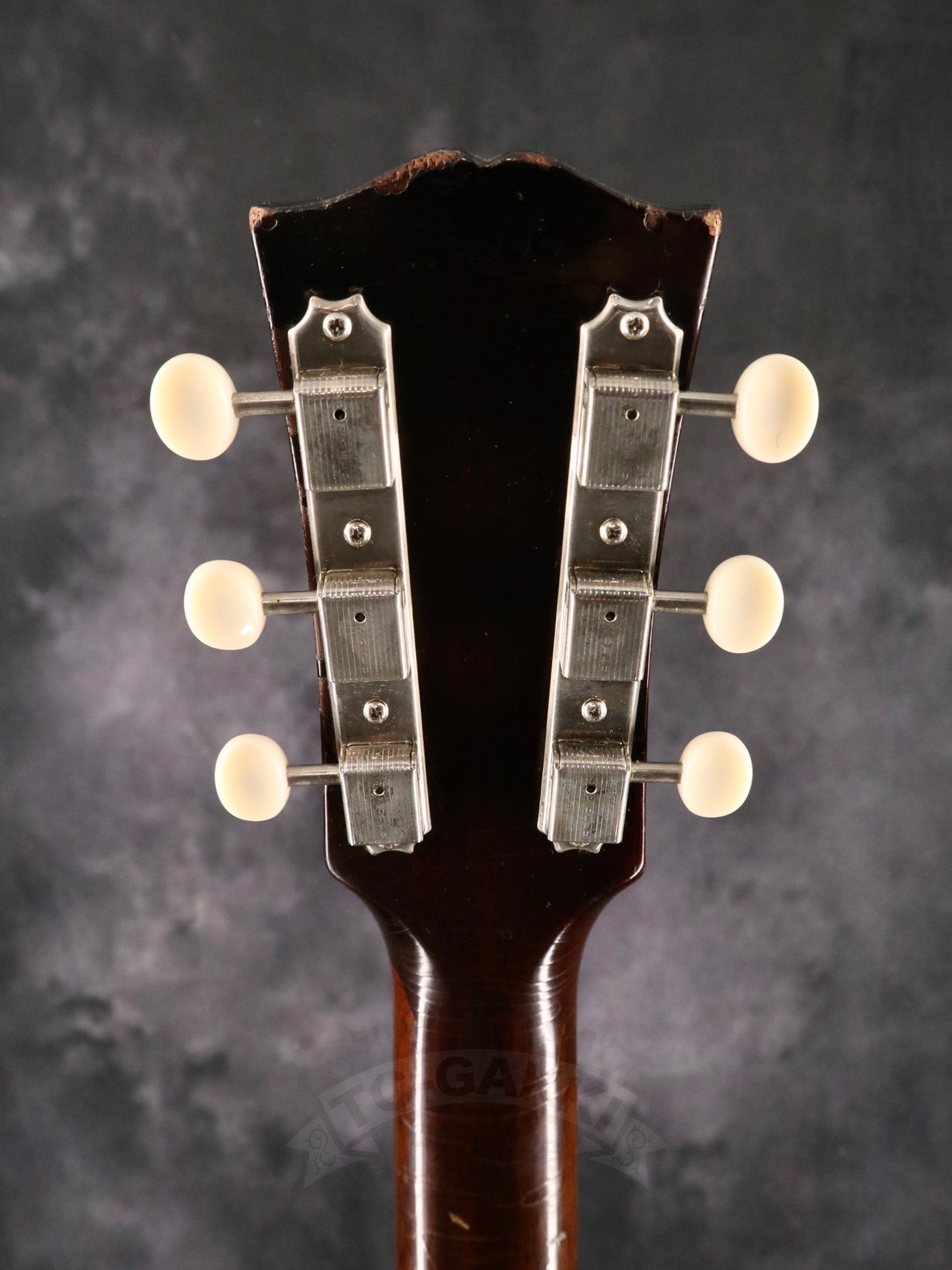 1962 ES-120T - TC楽器 - TCGAKKI