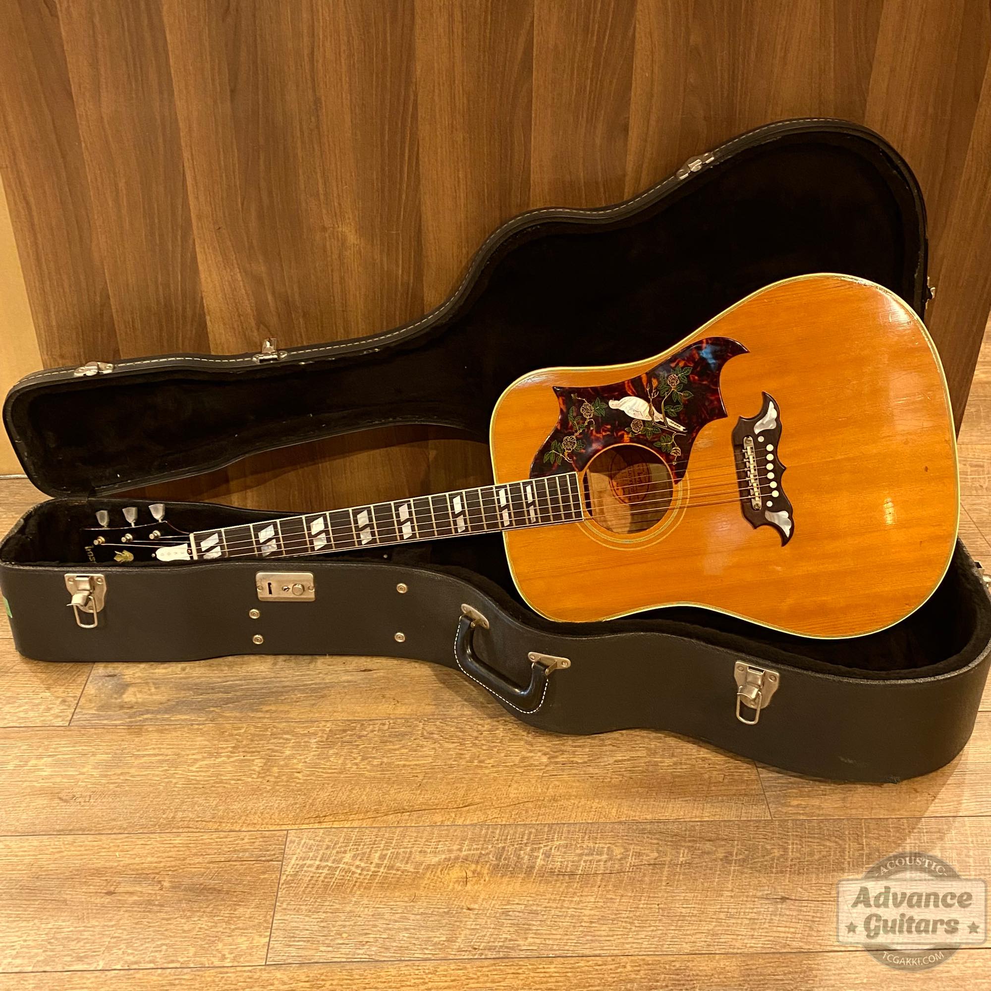 1963年製 Dove Natural - TC楽器 - TCGAKKI