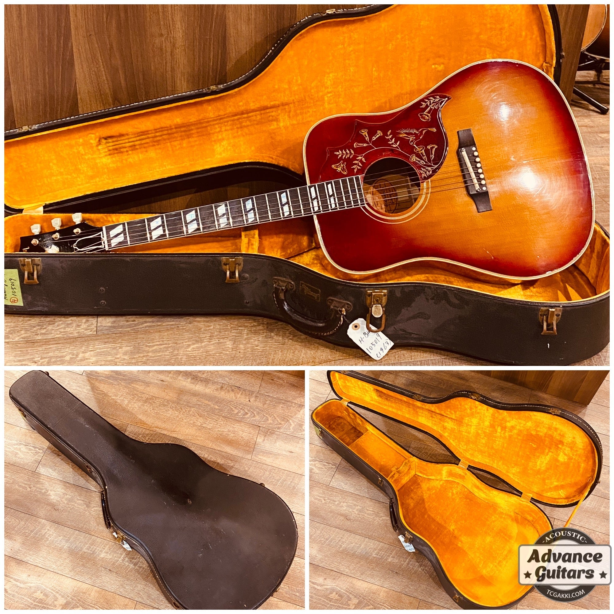 1963年製 Hummingbird Maple - TC楽器 - TCGAKKI