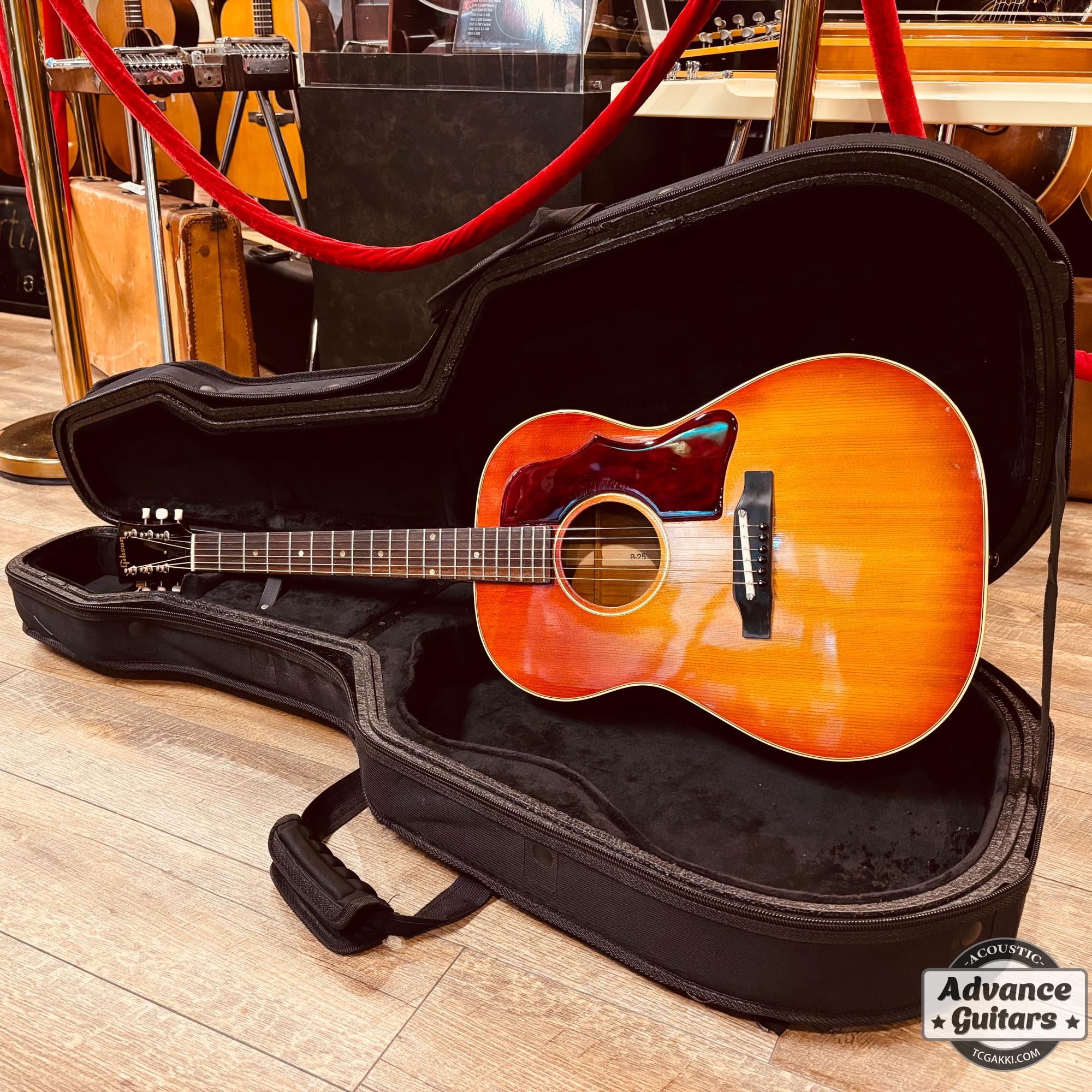 1964年製 B - 25 - TC楽器 - TCGAKKI