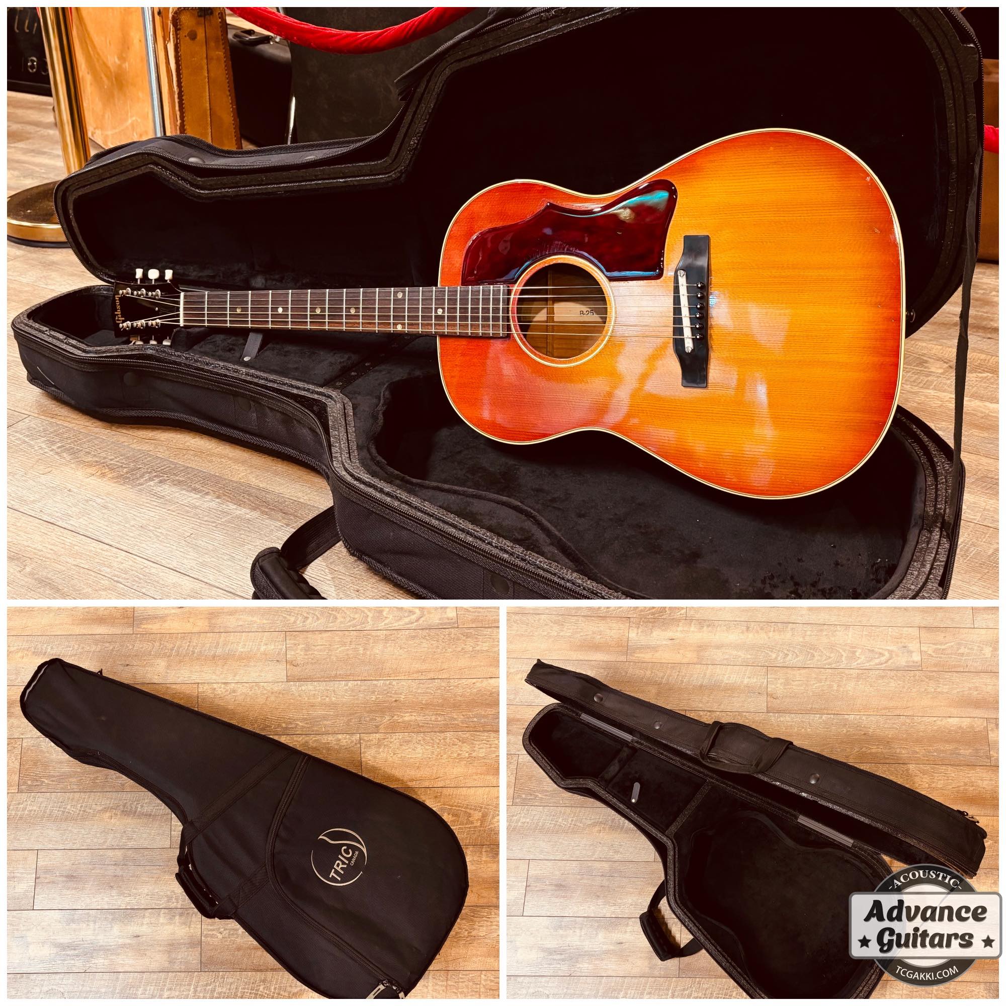 1964年製 B - 25 - TC楽器 - TCGAKKI