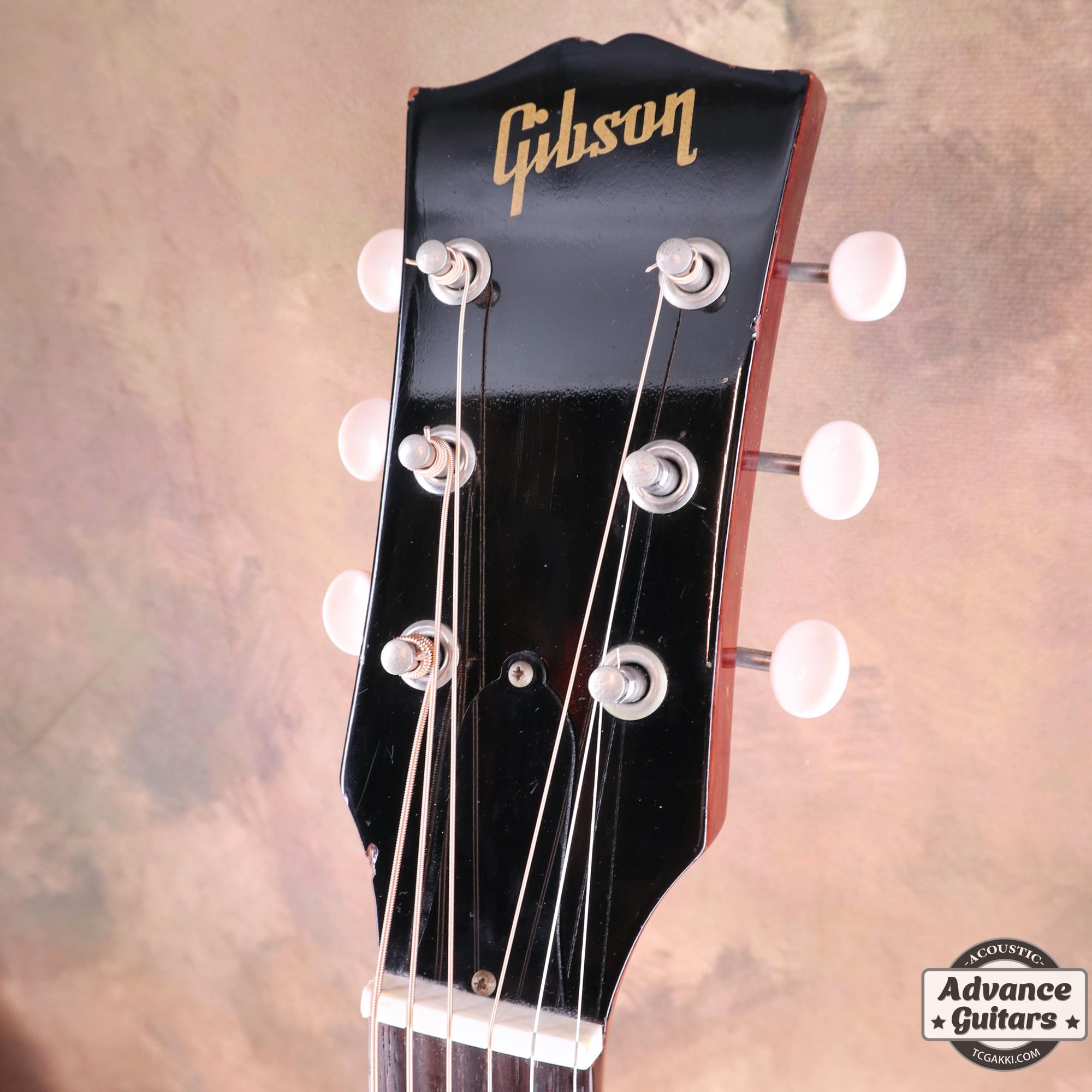 1964年製 B - 25 - TC楽器 - TCGAKKI