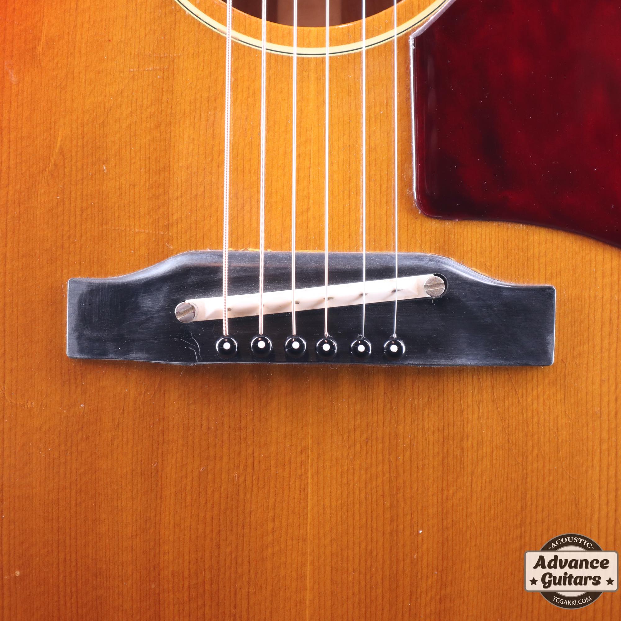 1964年製 B - 25 - TC楽器 - TCGAKKI