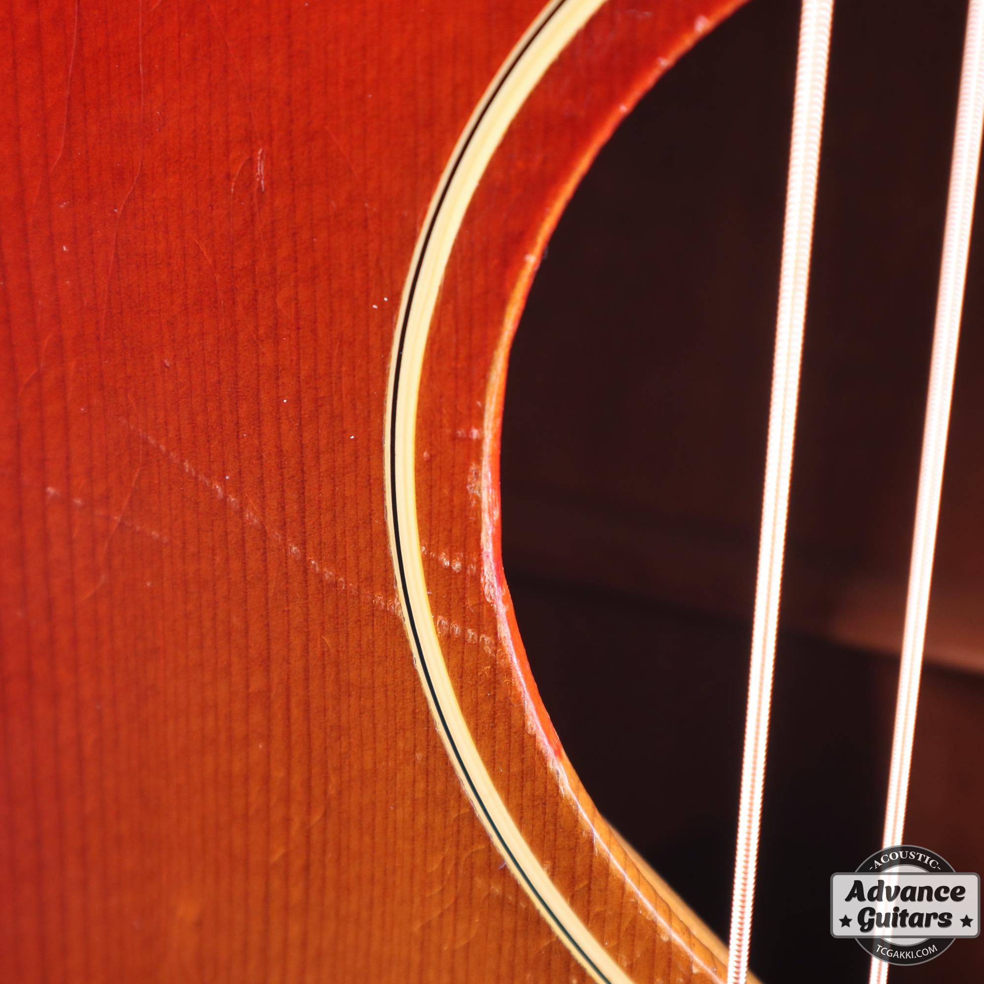 1964年製 B - 25 - TC楽器 - TCGAKKI