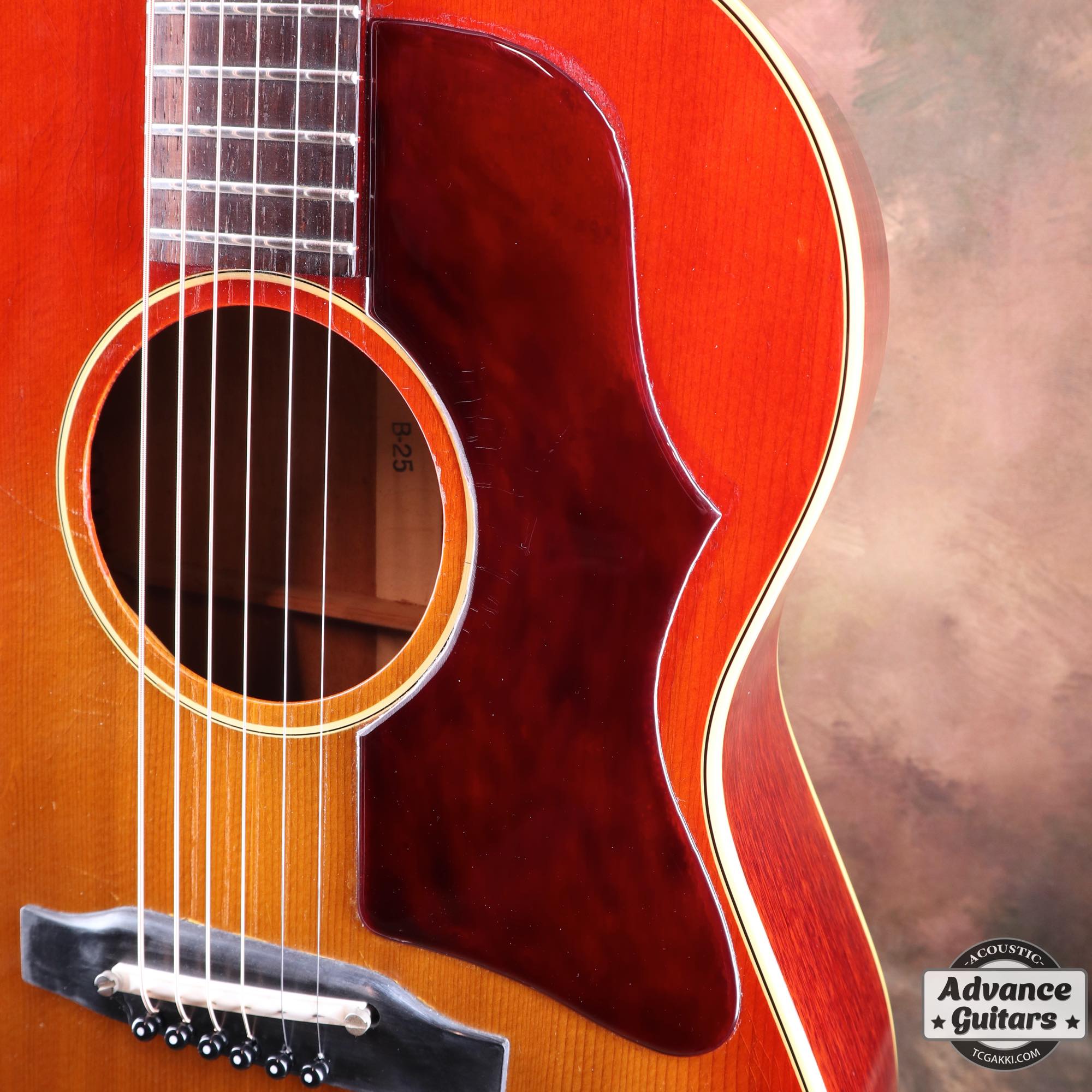 1964年製 B - 25 - TC楽器 - TCGAKKI