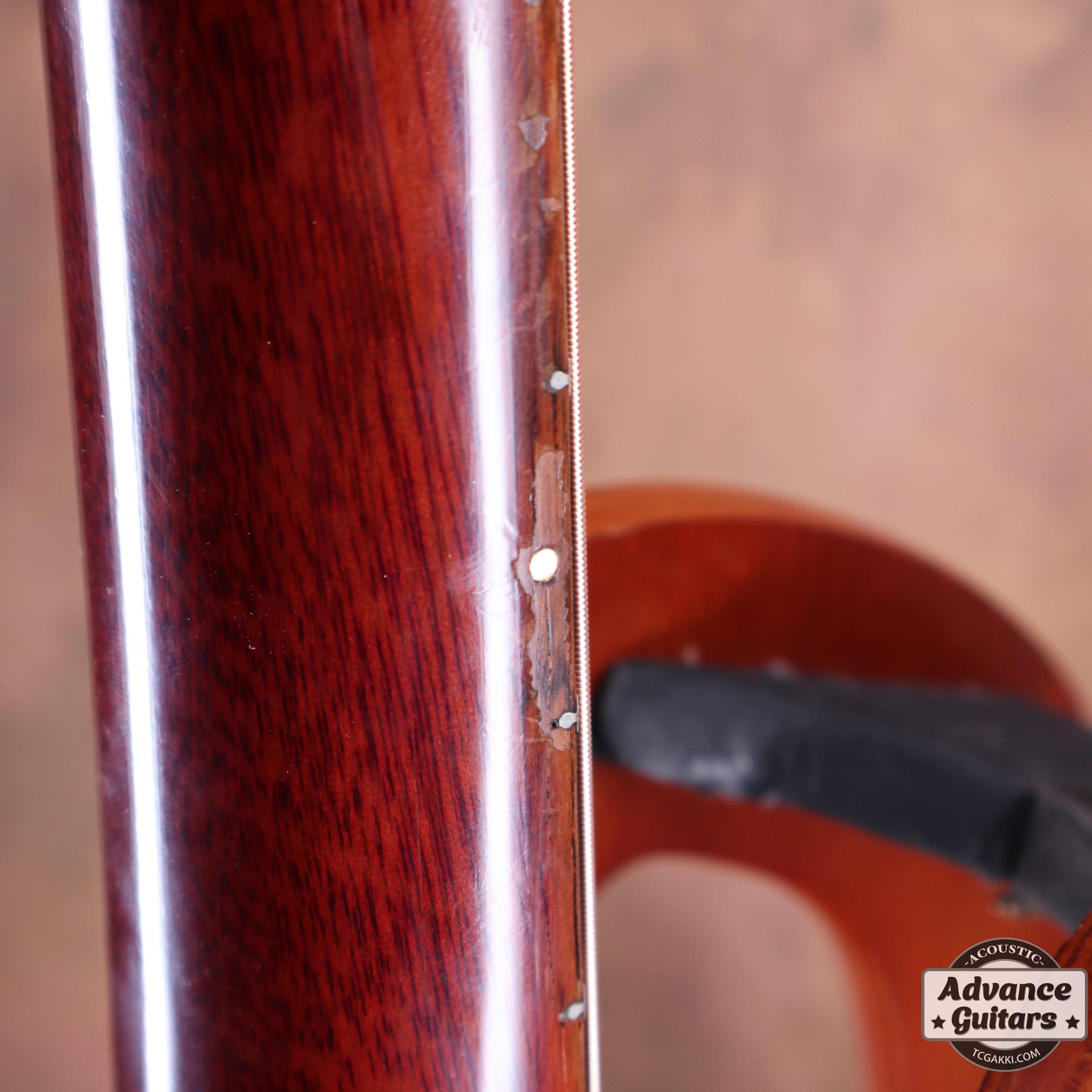 1964年製 B - 25 - TC楽器 - TCGAKKI