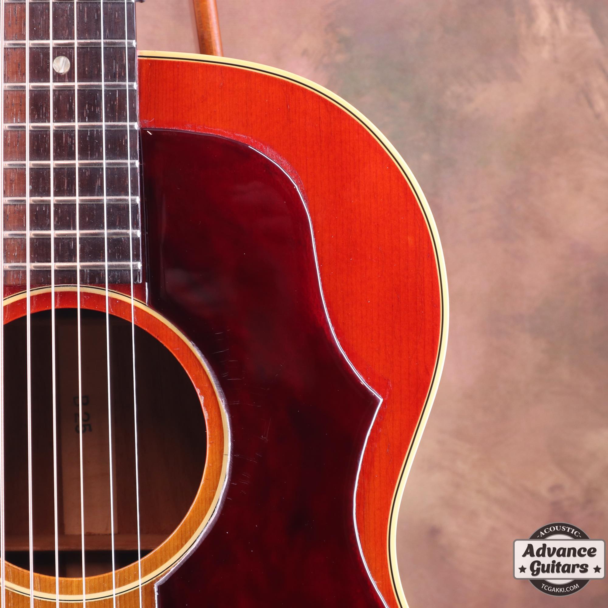 1964年製 B - 25 - TC楽器 - TCGAKKI