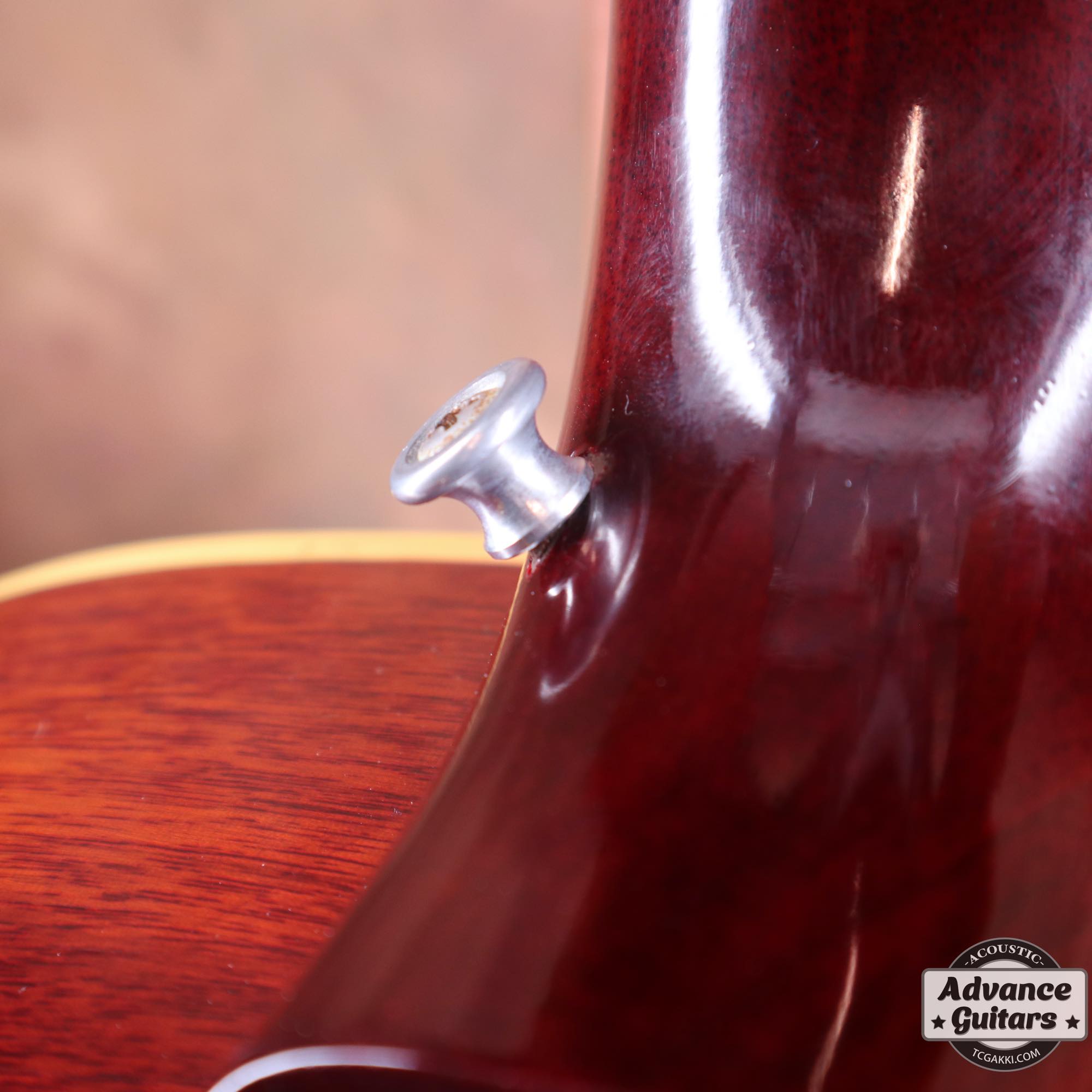 1964年製 B - 25 - TC楽器 - TCGAKKI