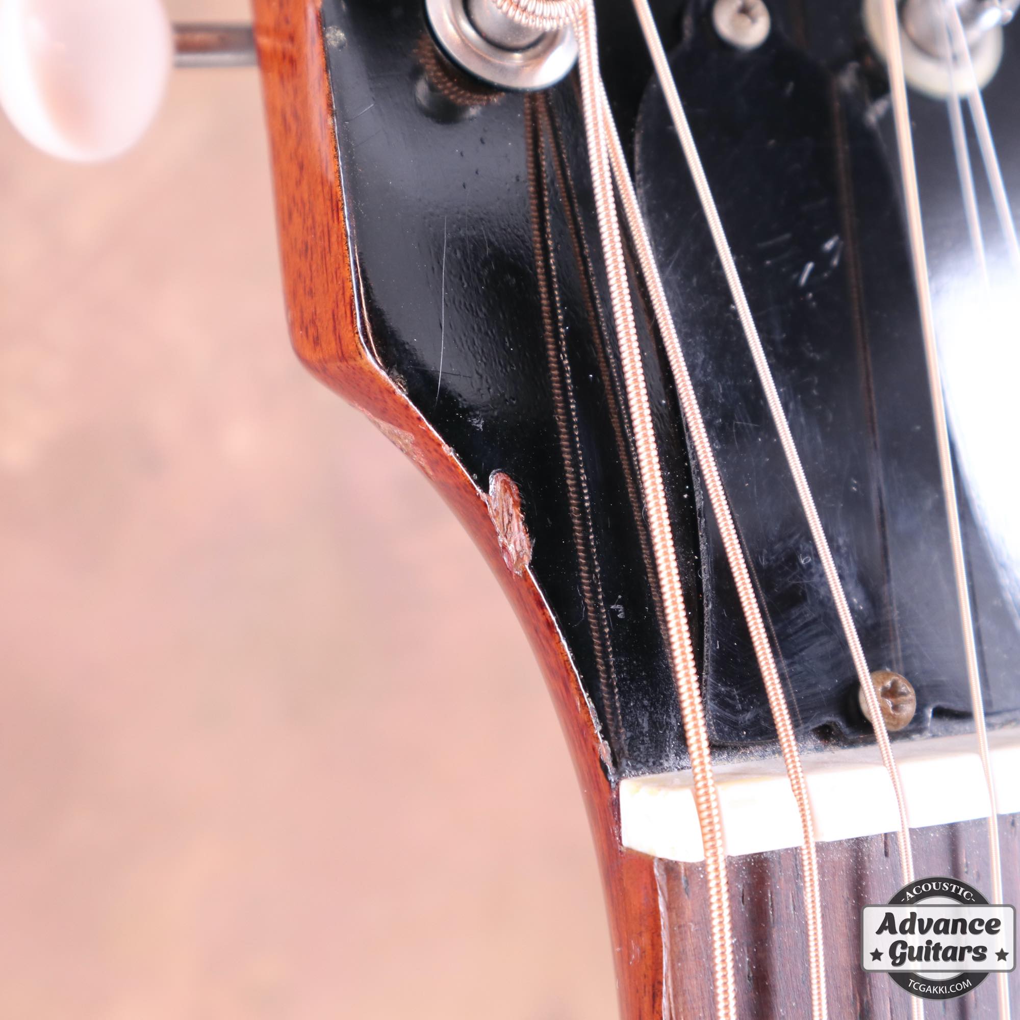 1964年製 B - 25 - TC楽器 - TCGAKKI