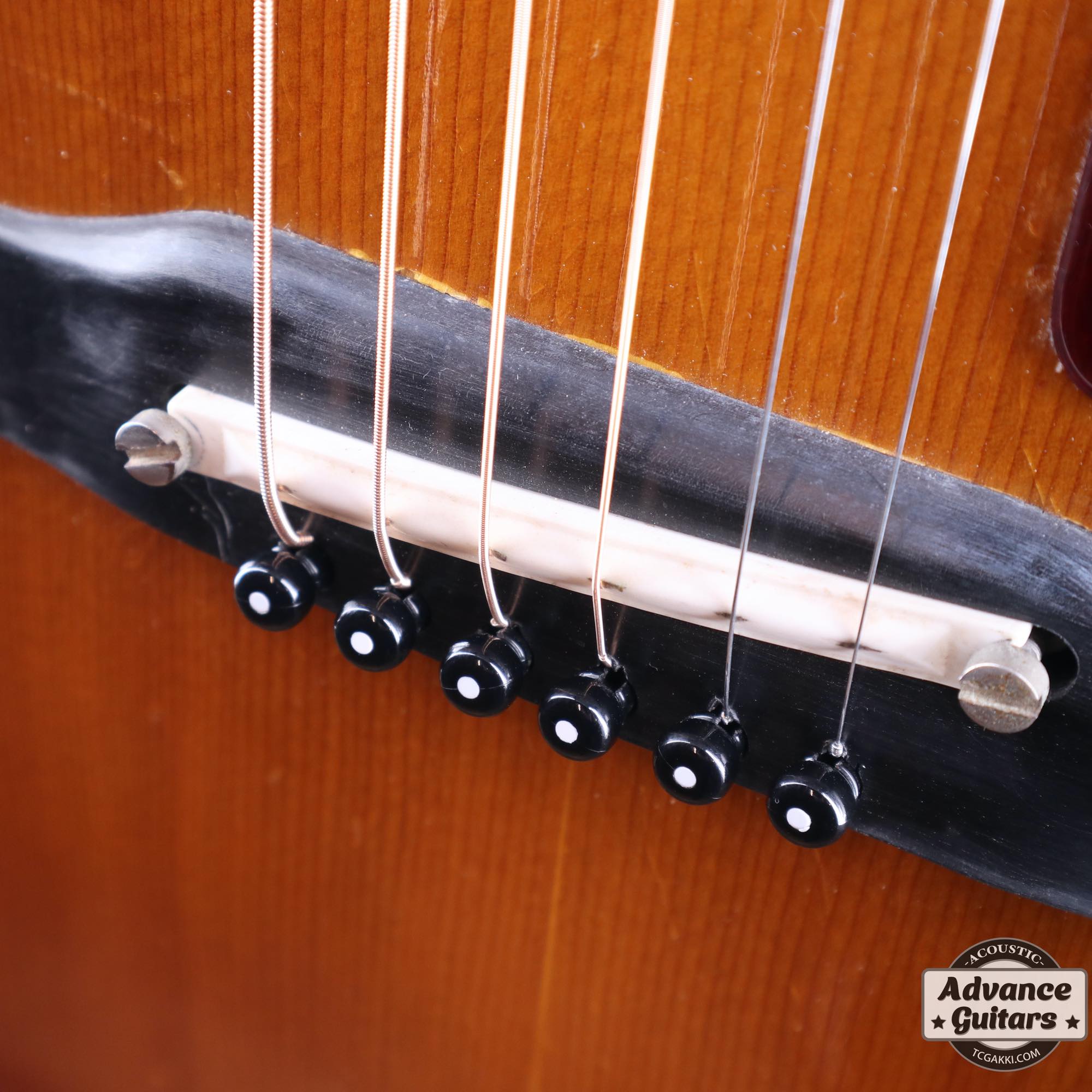 1964年製 B - 25 - TC楽器 - TCGAKKI