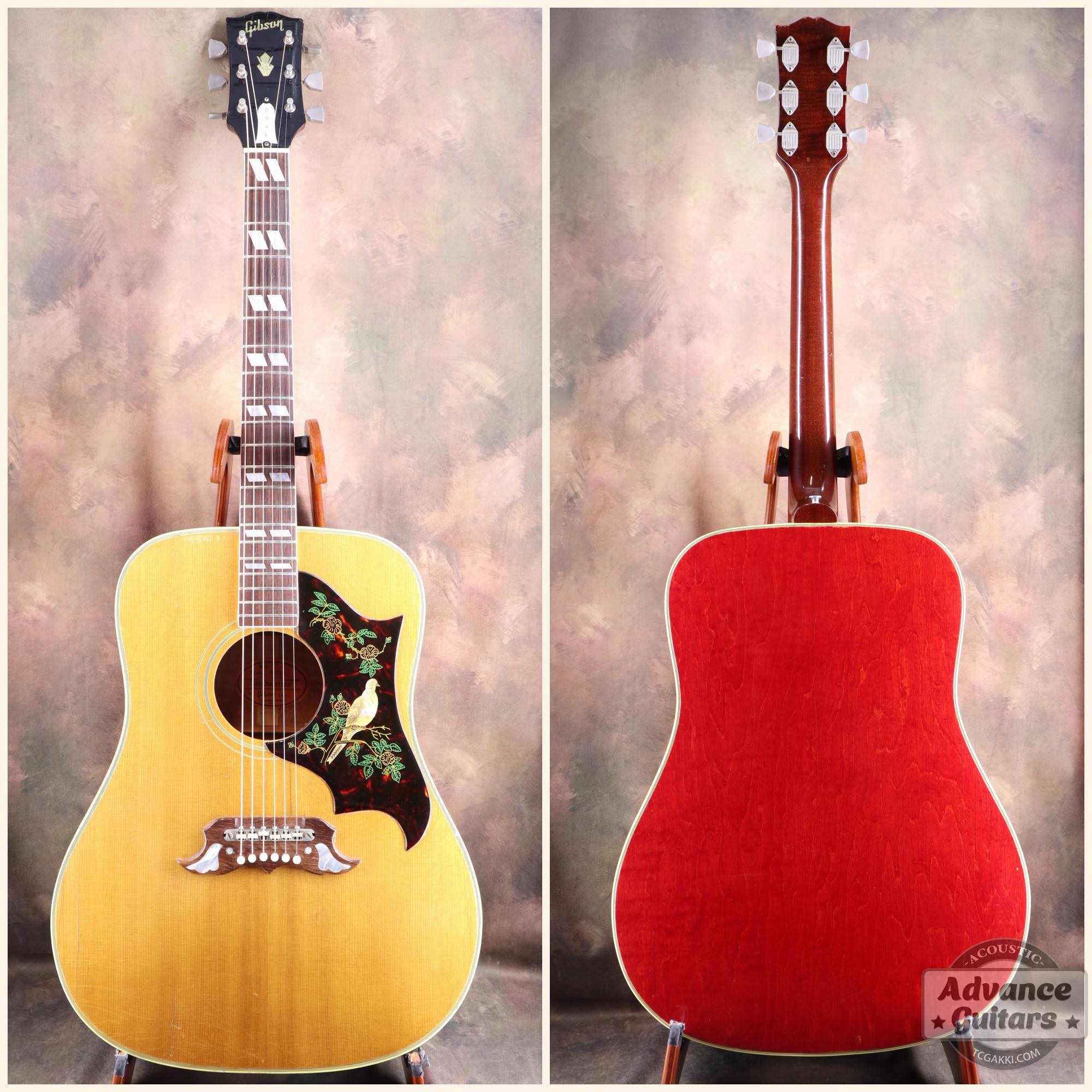 1964年製 Dove Natural - TC楽器 - TCGAKKI