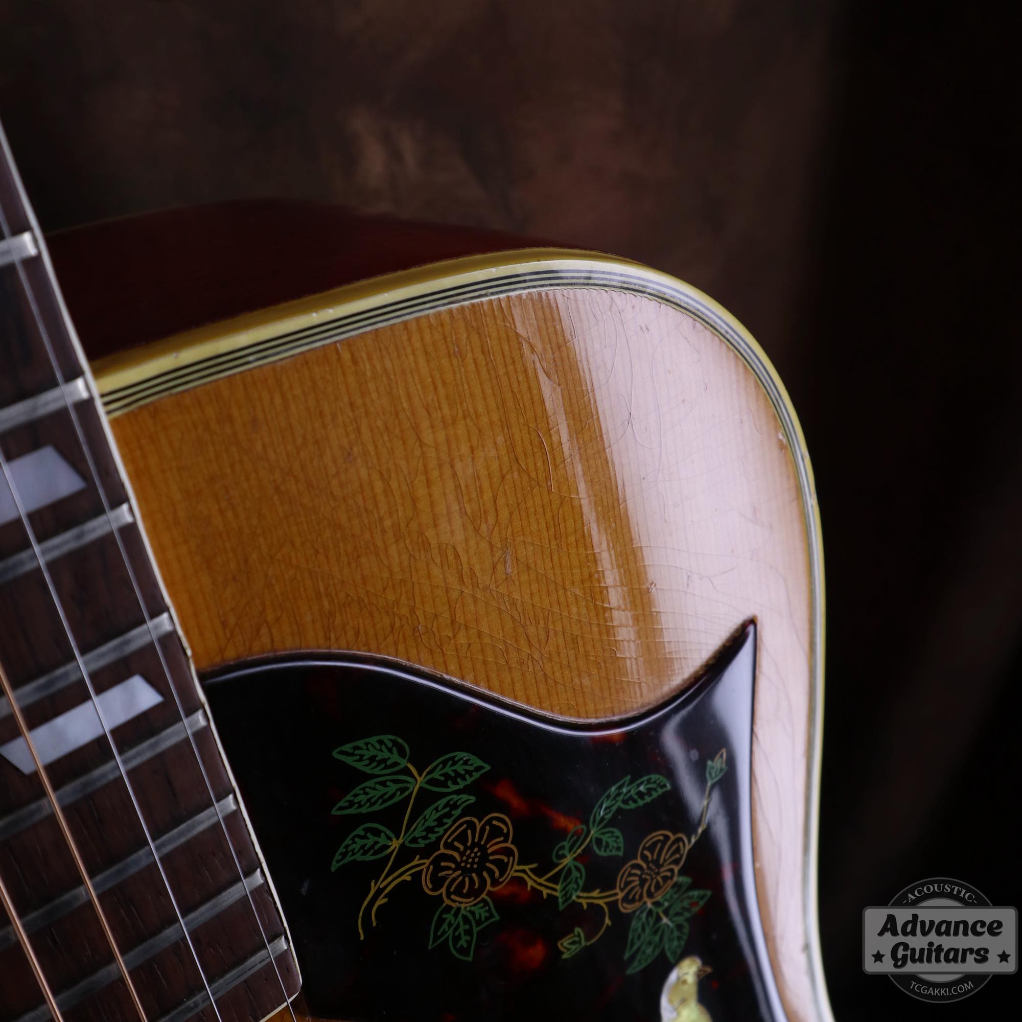 1964年製 Dove Natural - TC楽器 - TCGAKKI