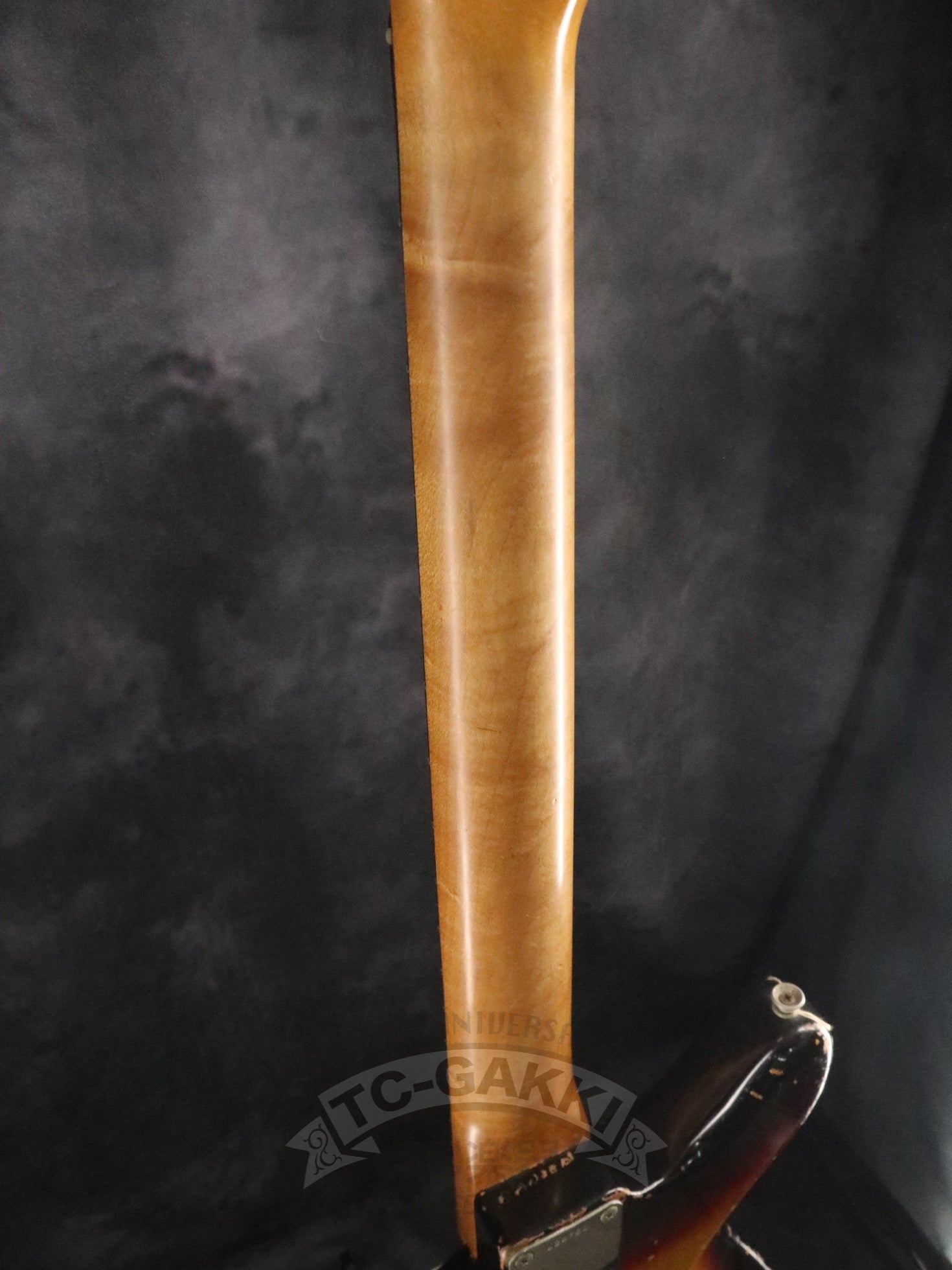 1964 JAZZMASTER - TC楽器 - TCGAKKI