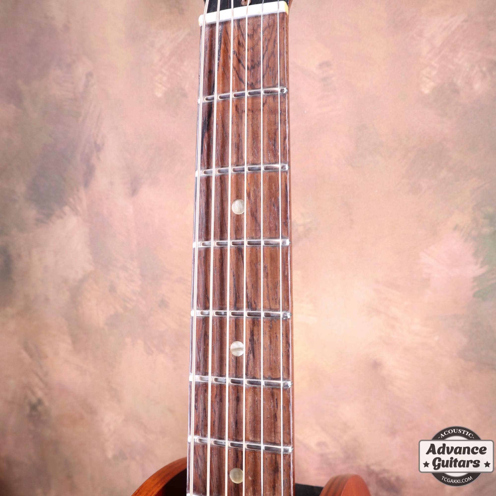 1965年製 B - 25N - TC楽器 - TCGAKKI