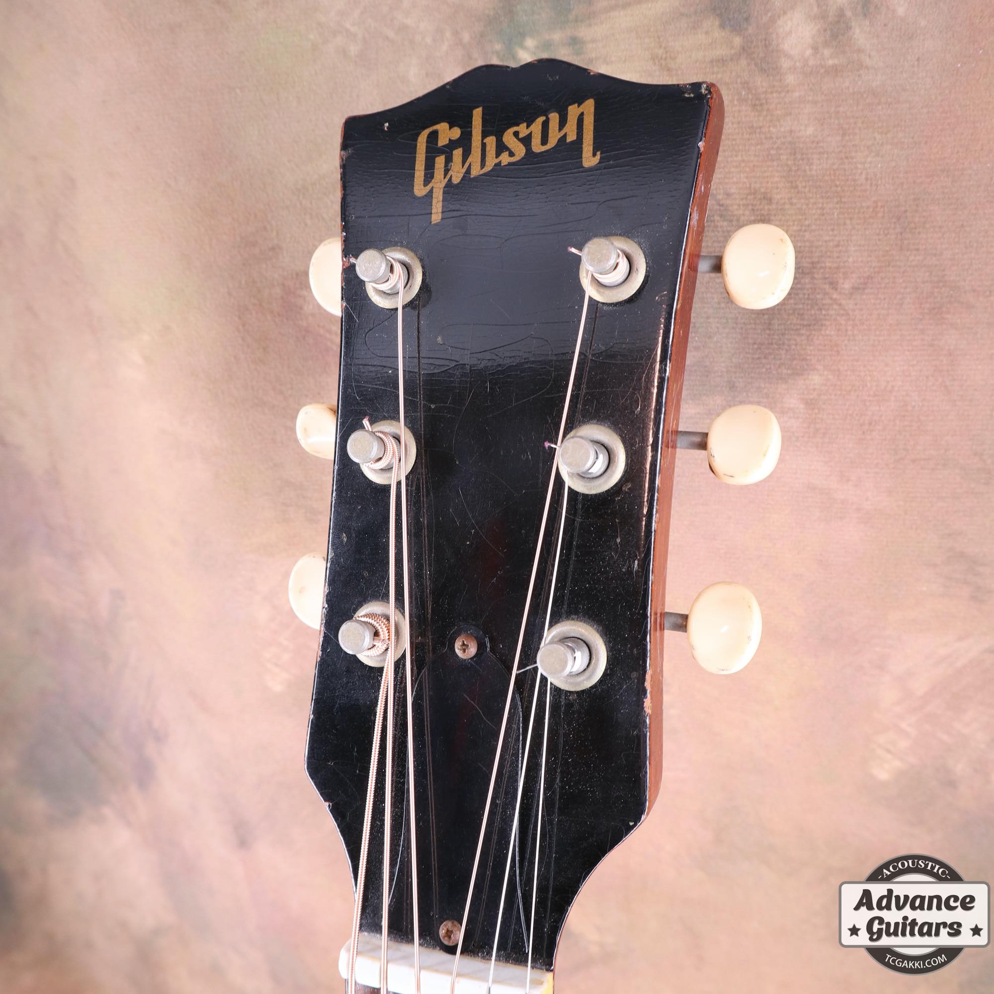 1965年製 B - 25N - TC楽器 - TCGAKKI