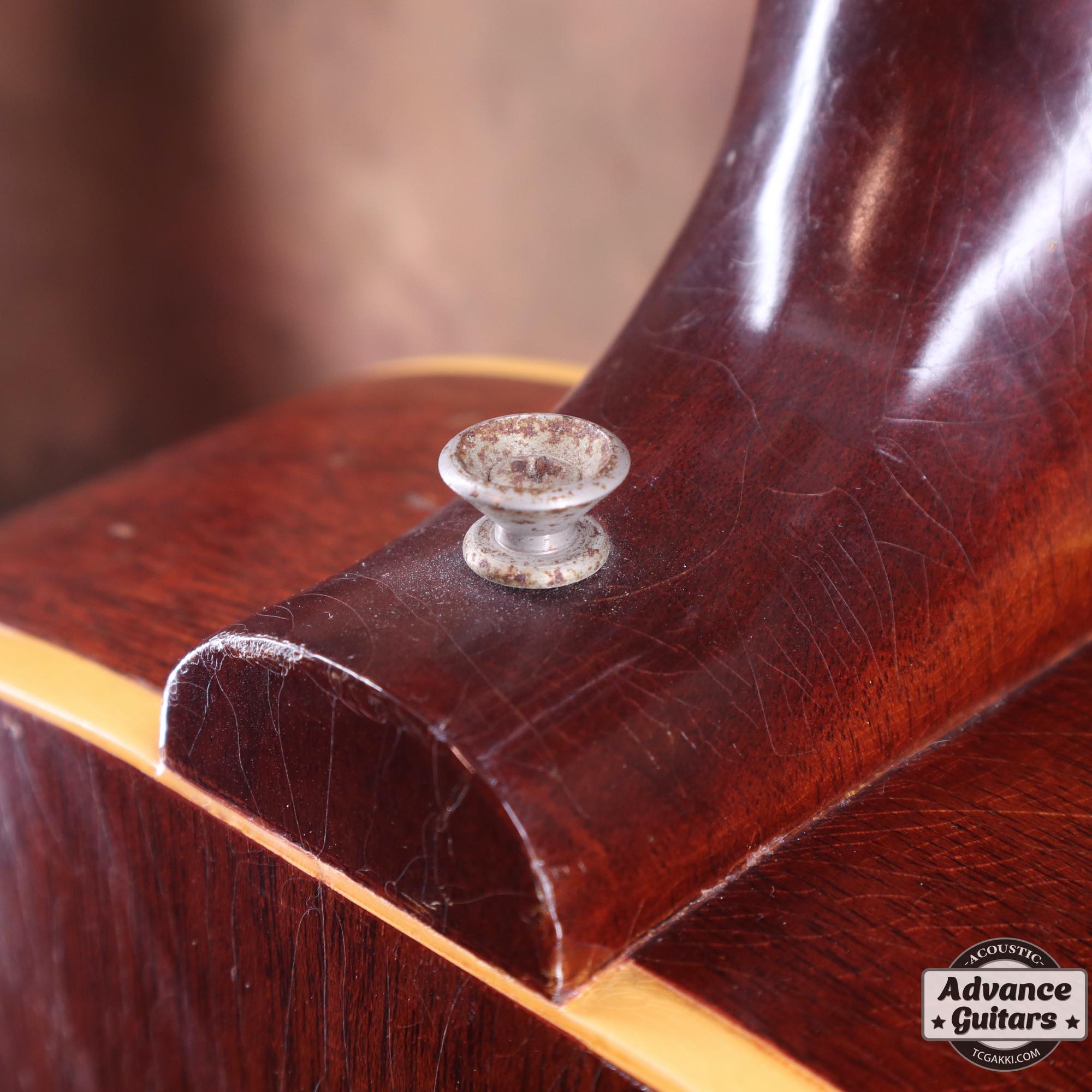 1965年製 B - 25N - TC楽器 - TCGAKKI