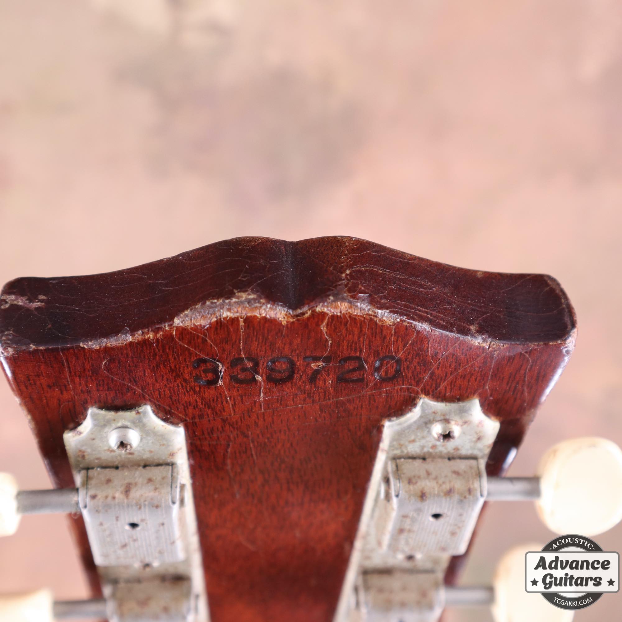 1965年製 B - 25N - TC楽器 - TCGAKKI