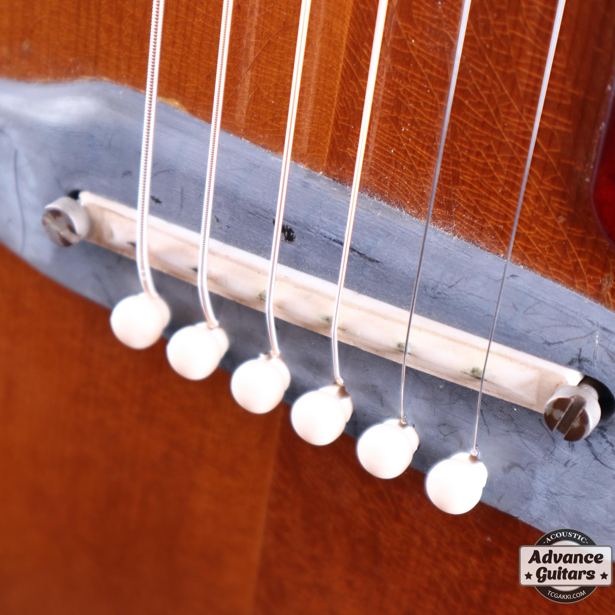 1965年製 B - 25N - TC楽器 - TCGAKKI