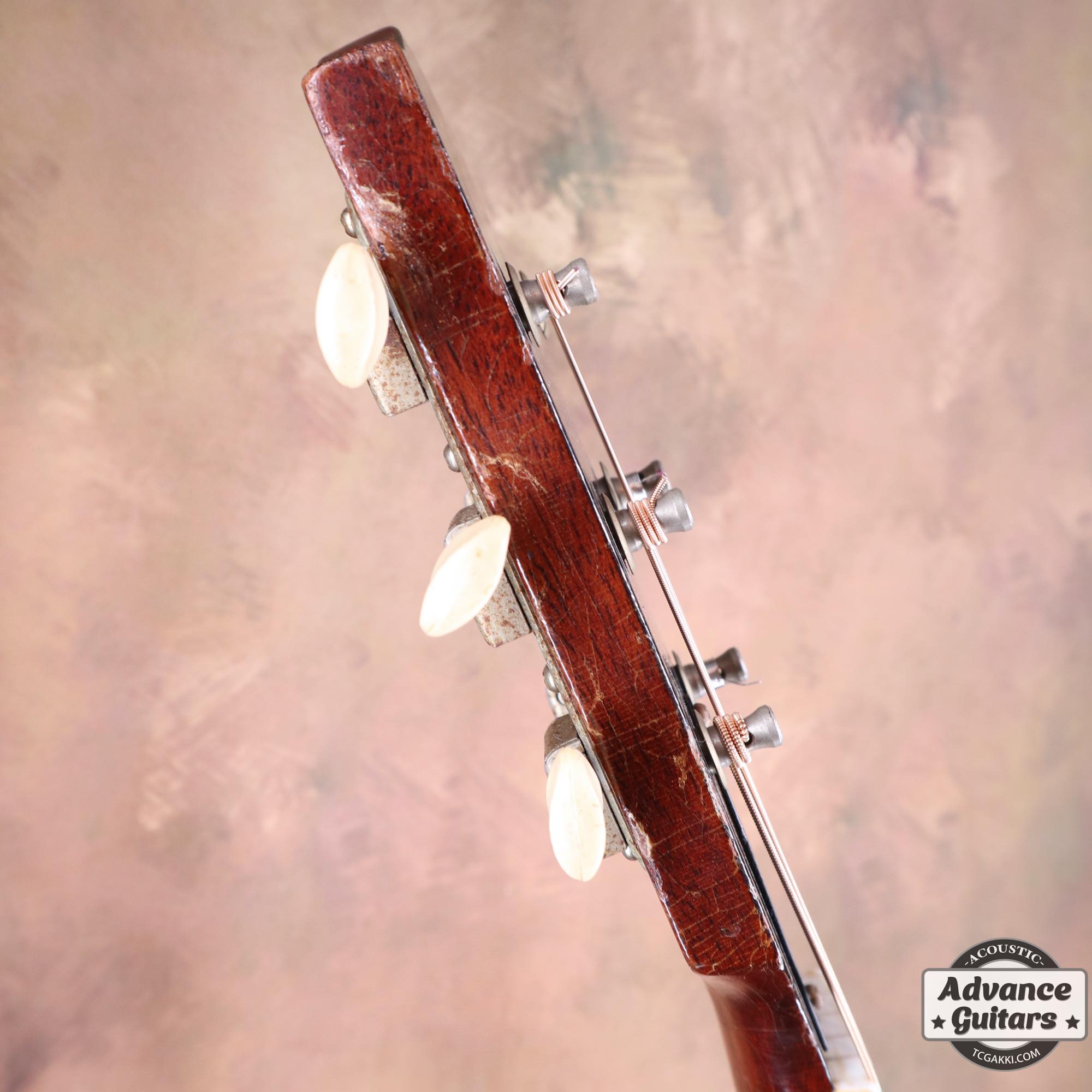 1965年製 B - 25N - TC楽器 - TCGAKKI