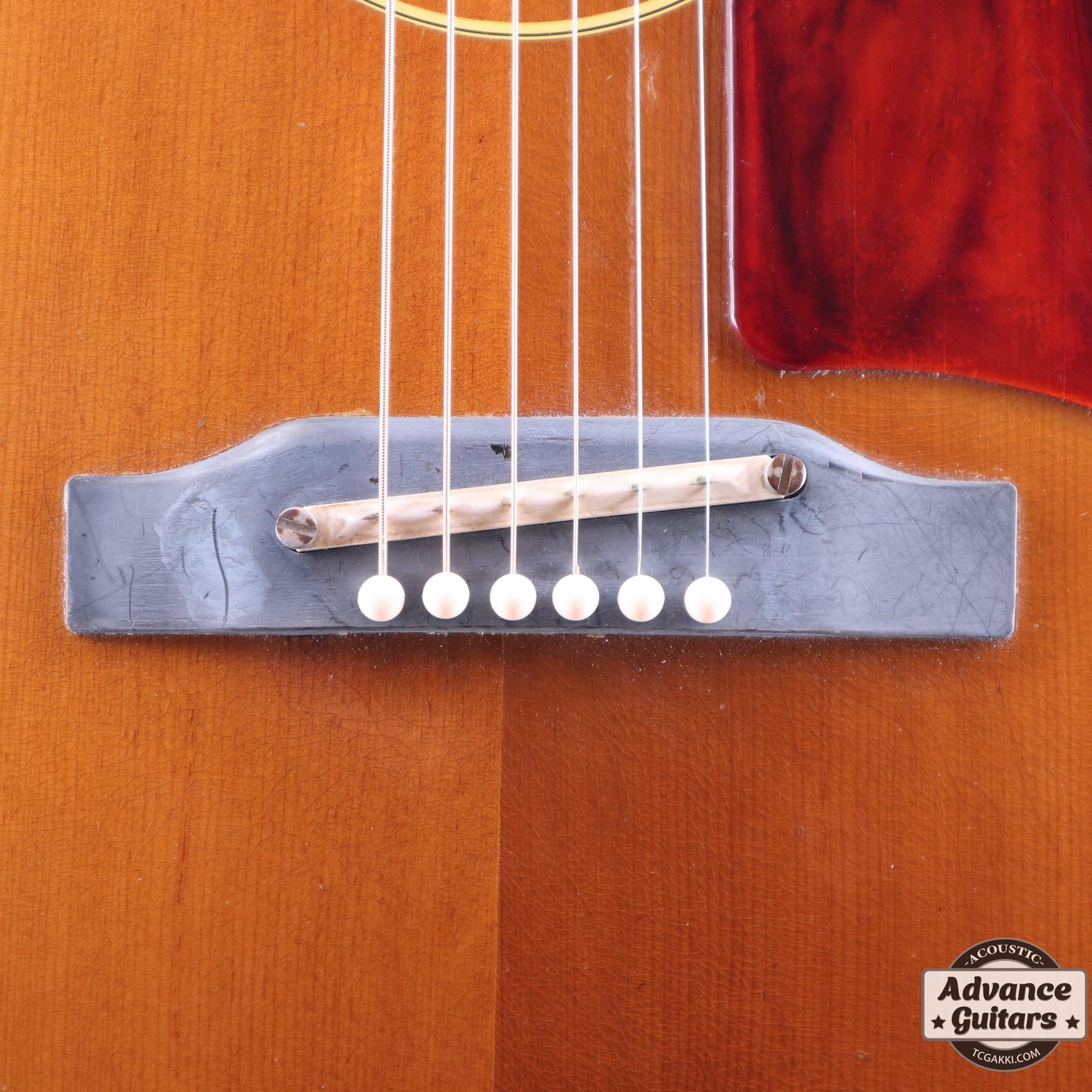 1965年製 B - 25N - TC楽器 - TCGAKKI