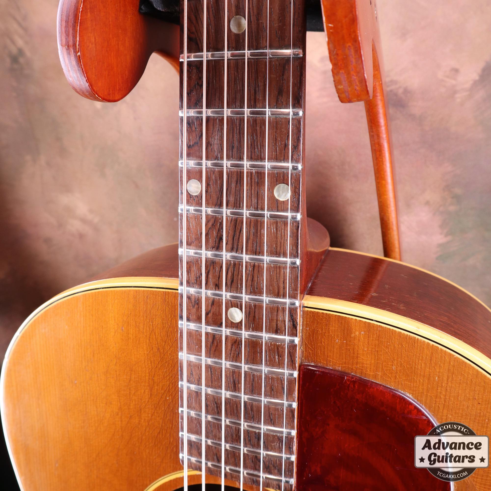 1965年製 B - 25N - TC楽器 - TCGAKKI